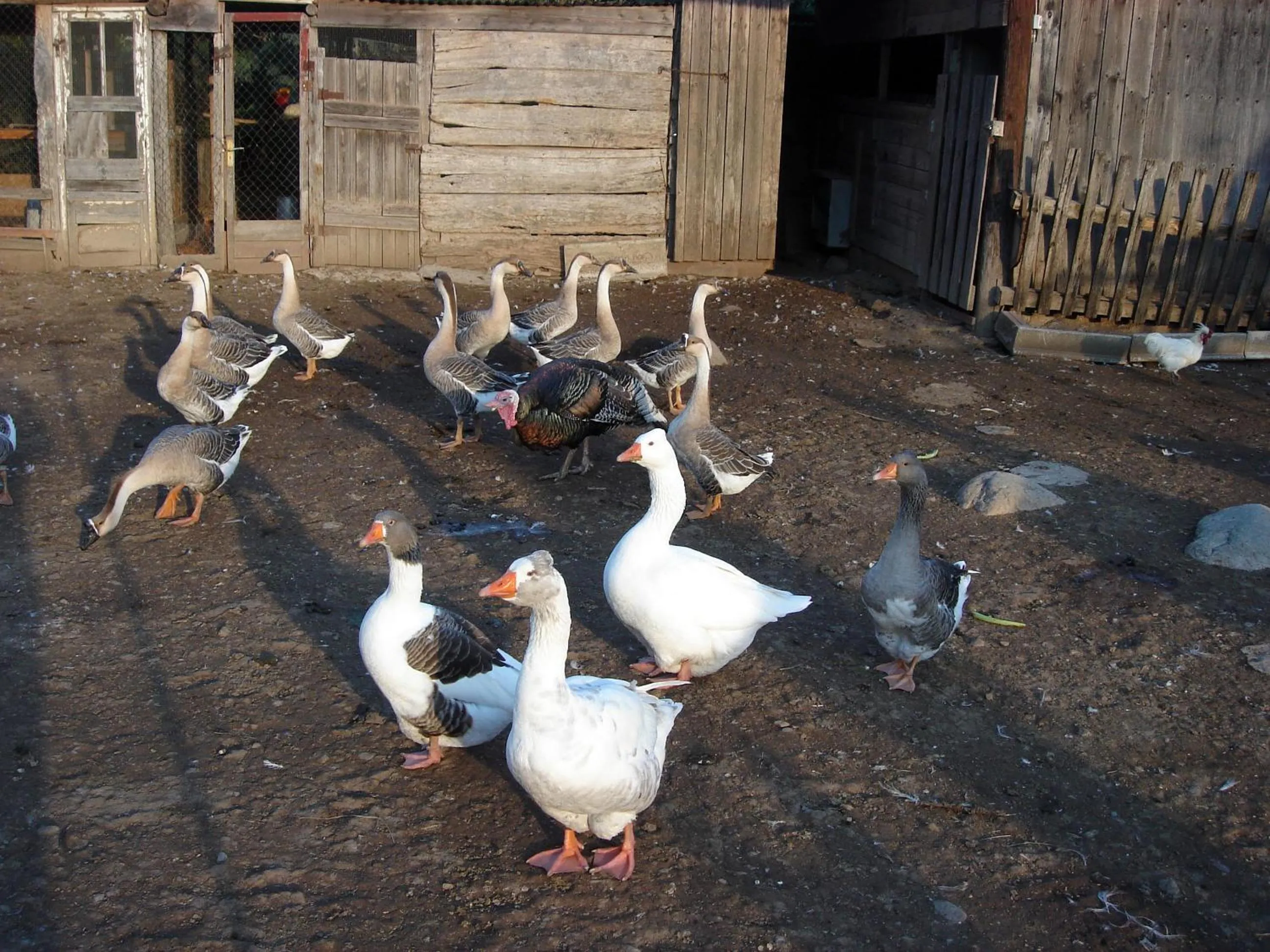 Casa rural Can Jepet