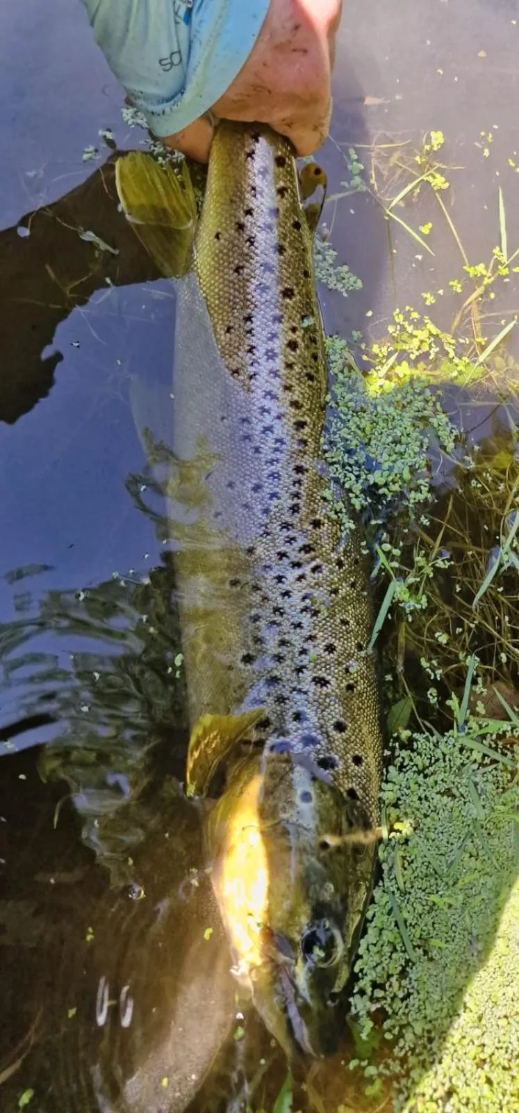 Casa rural Can Jepet