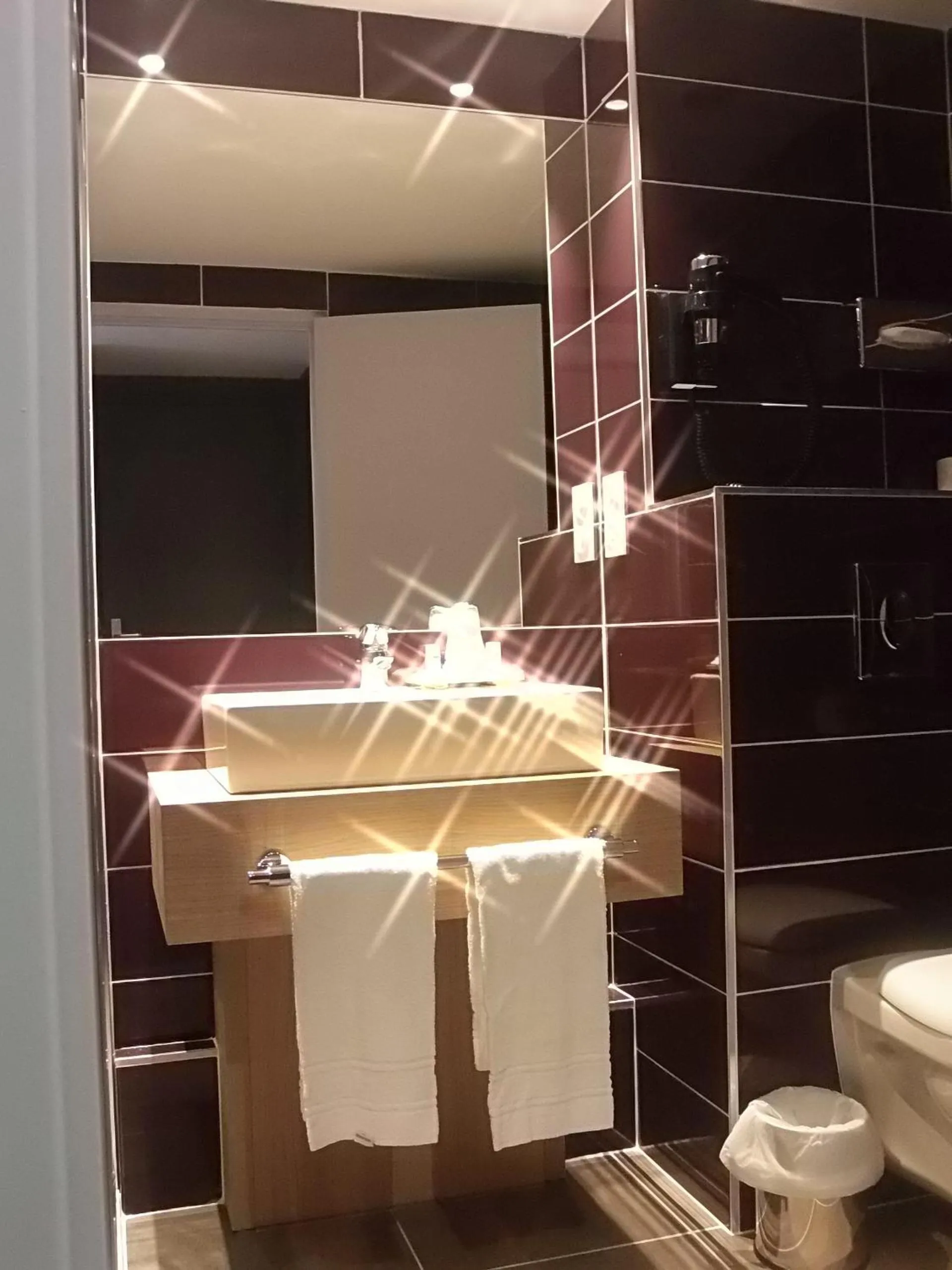 Bathroom in Hôtel Restaurant Le Rive Gauche