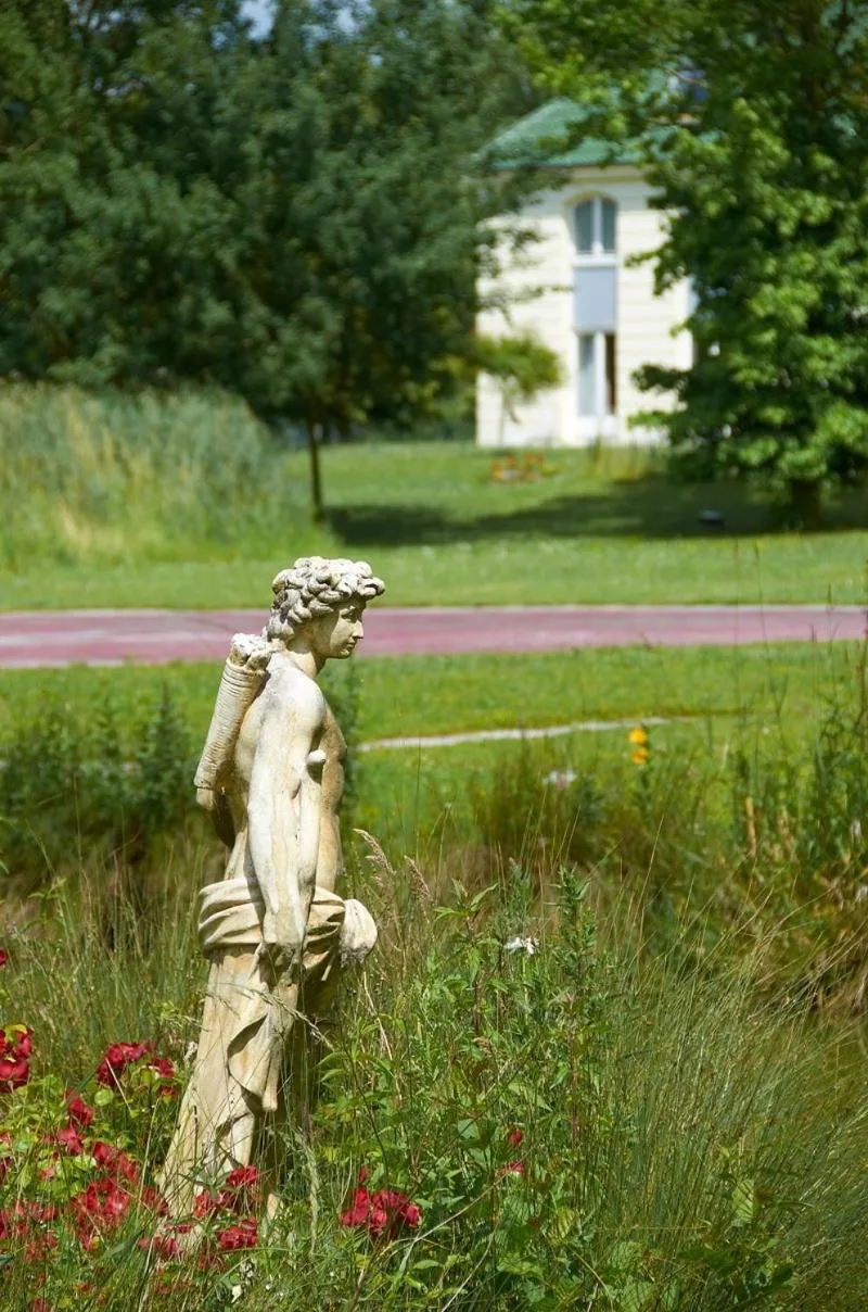 Garden in Hôtel Restaurant Le Rive Gauche