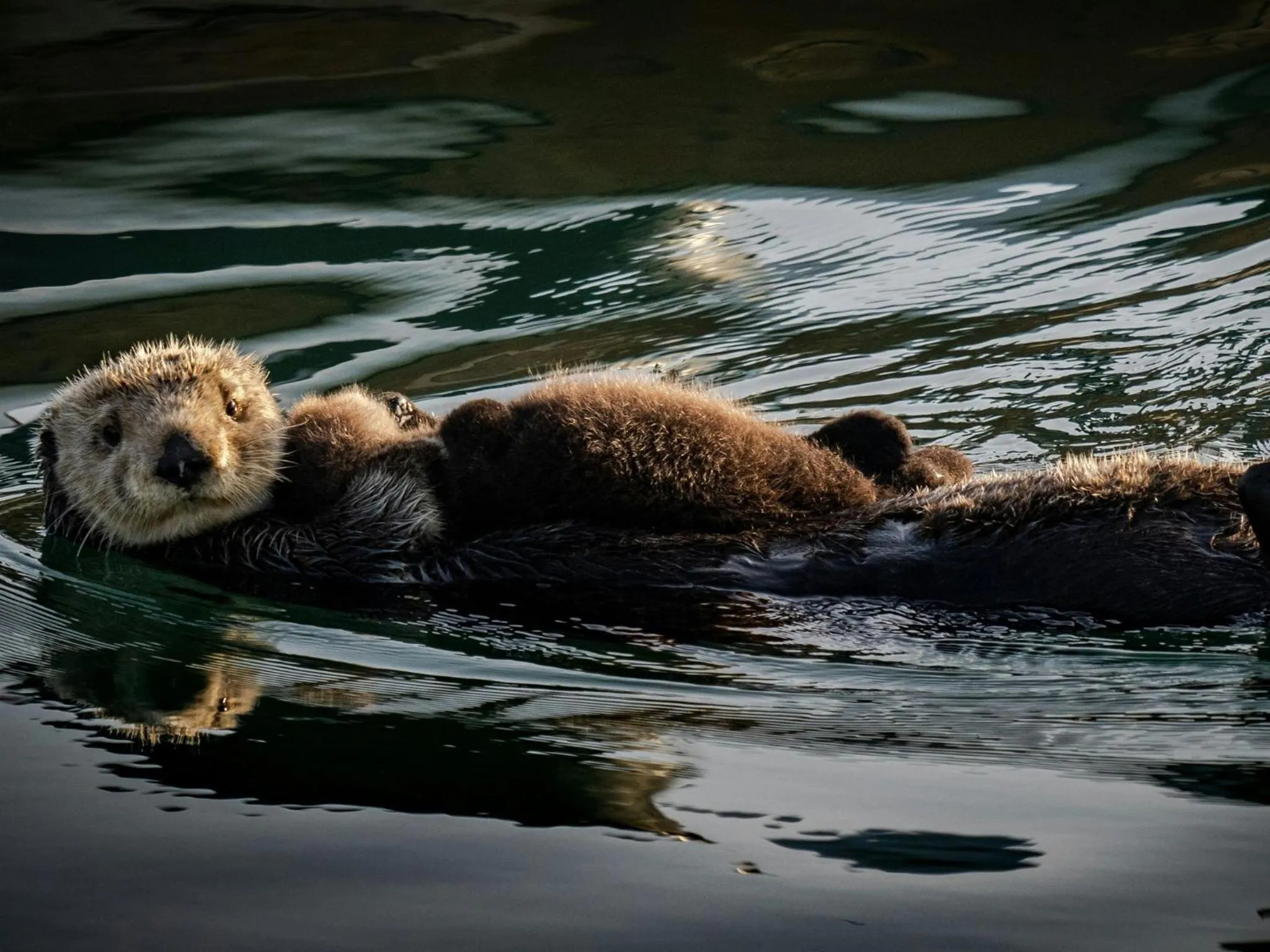 Nearby landmark in InterContinental The Clement Monterey by IHG
