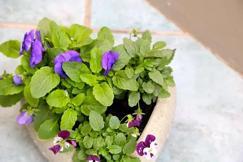 Stay @ Swakop Stay @ Swakop