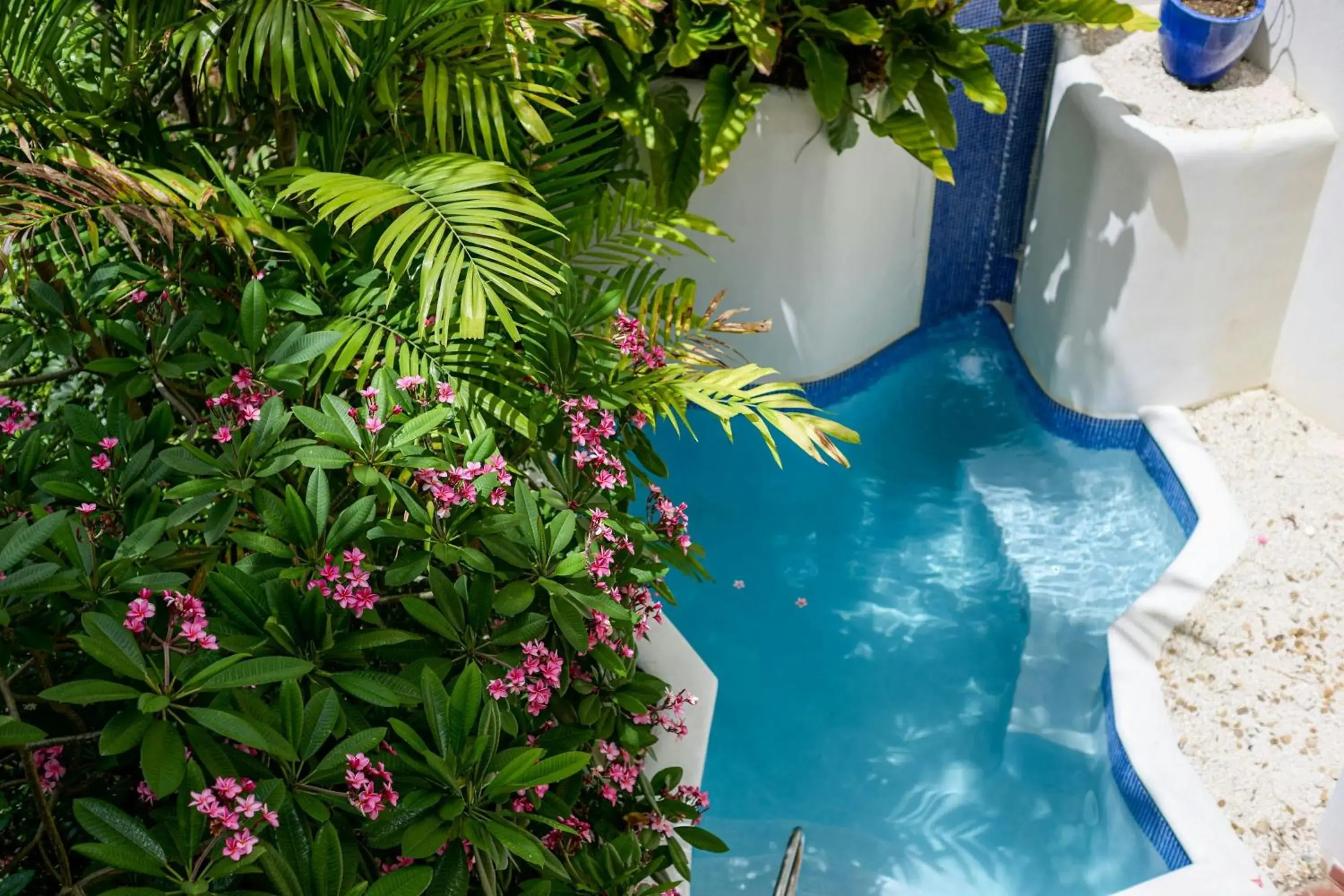 Luxury Garden View, All-Inclusive Adults Only, 1 King , Plunge Pool in The House, An Autograph Collection All-Inclusive Resort - Adults Only Luxury Garden View, All-Inclusive Adults Only, 1 King , Plunge Pool in The House, An Autograph Collection All-Inclusive Resort - Adults Only