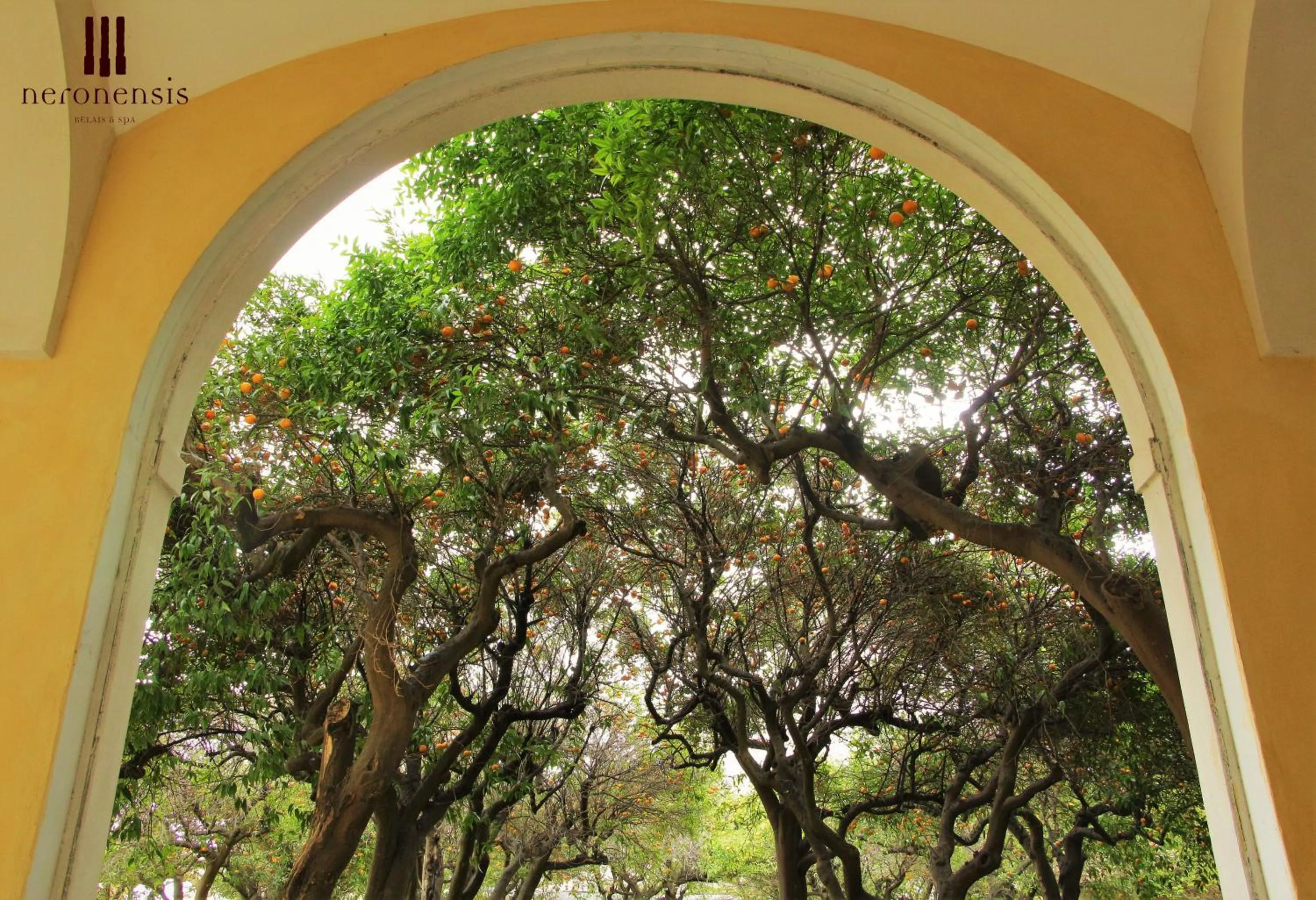 Garden in Hotel Terme Neronensis