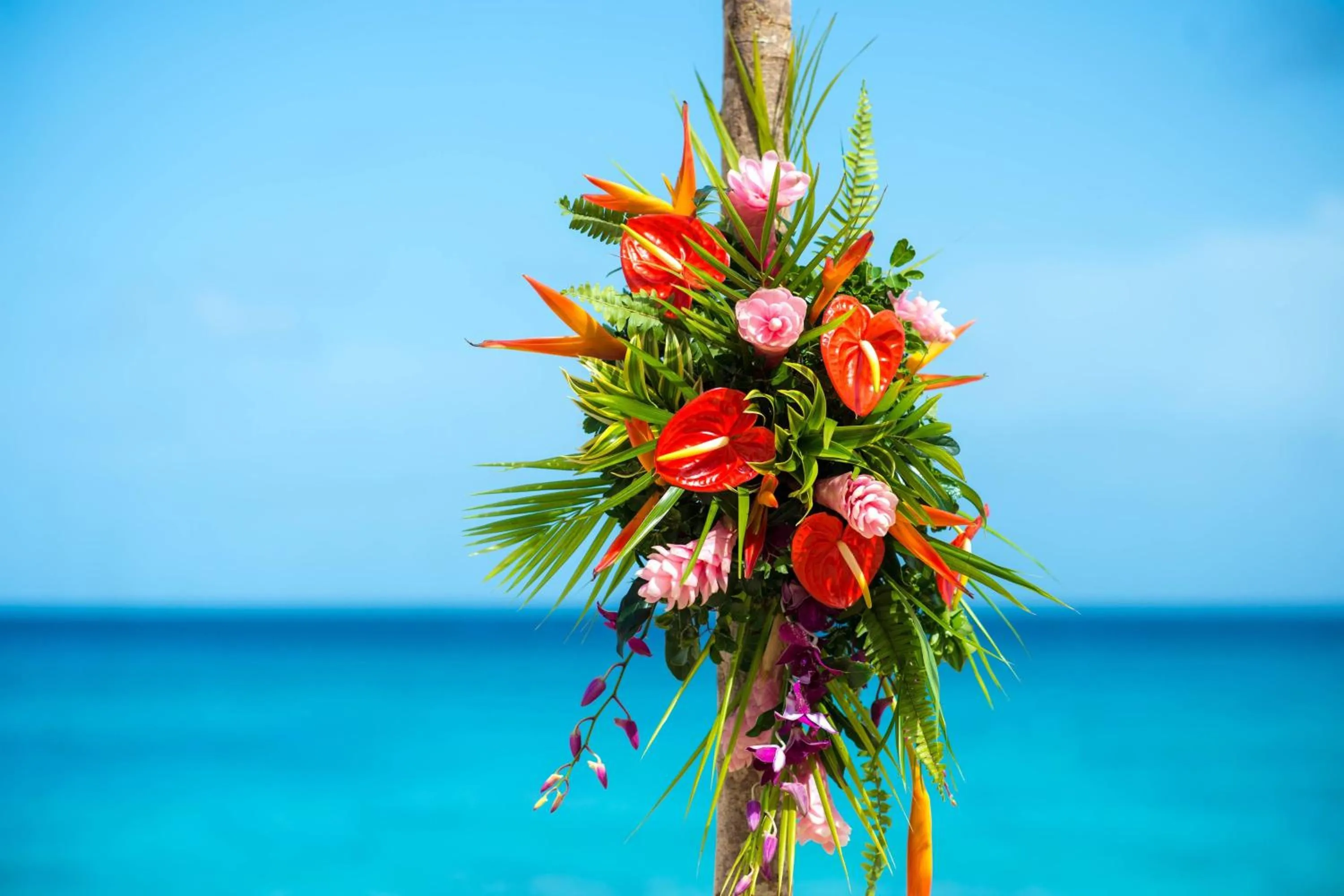 Beach in Waves Resort & Spa, Barbados, An Autograph Collection All-Inclusive Resort