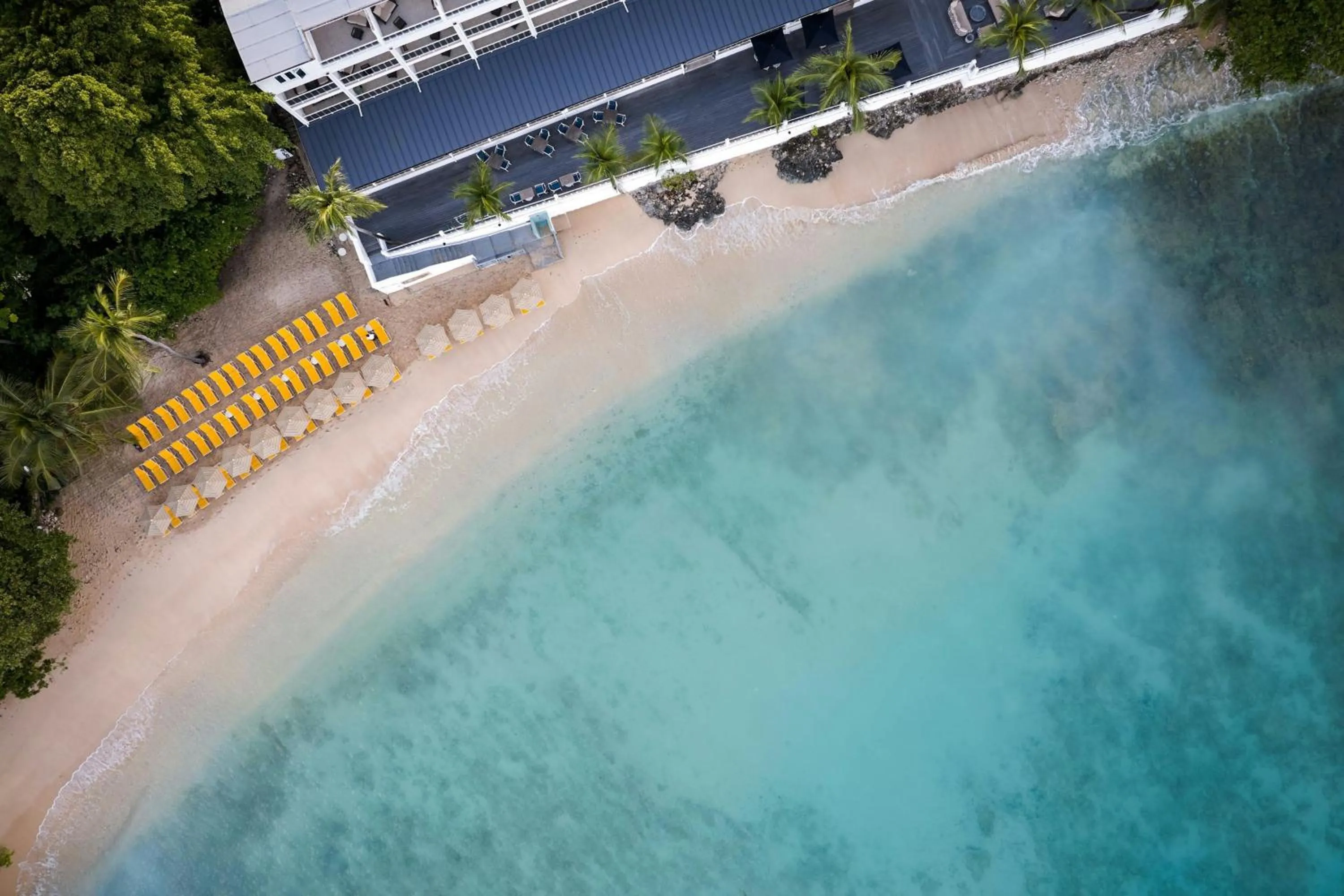 Beach in Waves Resort & Spa, Barbados, An Autograph Collection All-Inclusive Resort