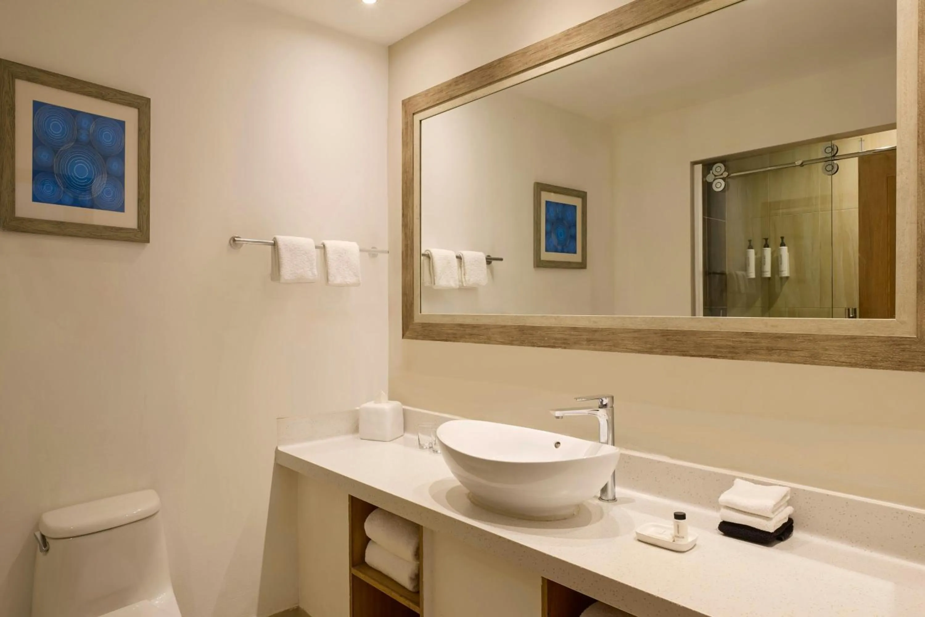 Toilet in Waves Resort & Spa, Barbados, An Autograph Collection All-Inclusive Resort