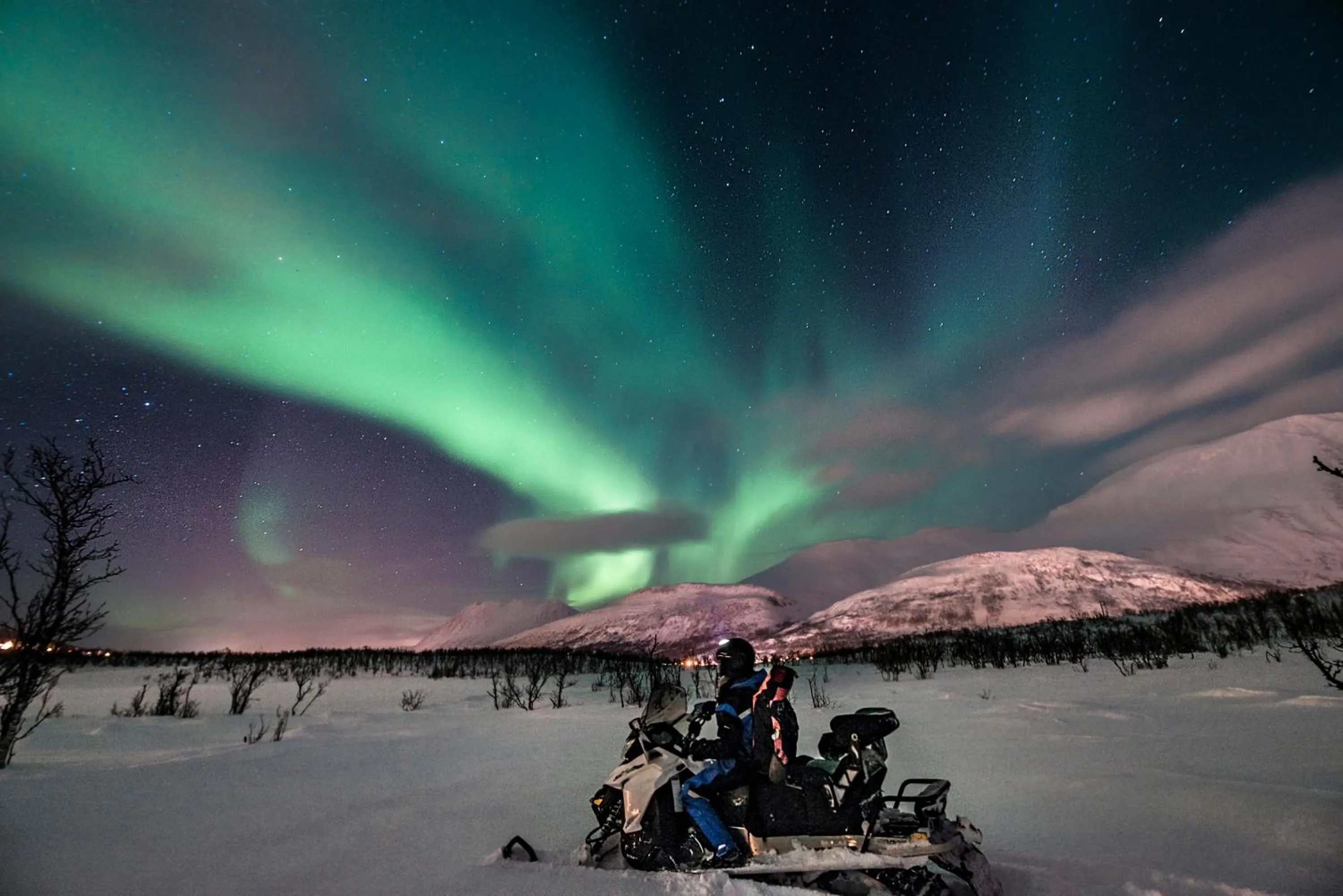 Lyngen Experience Apartments