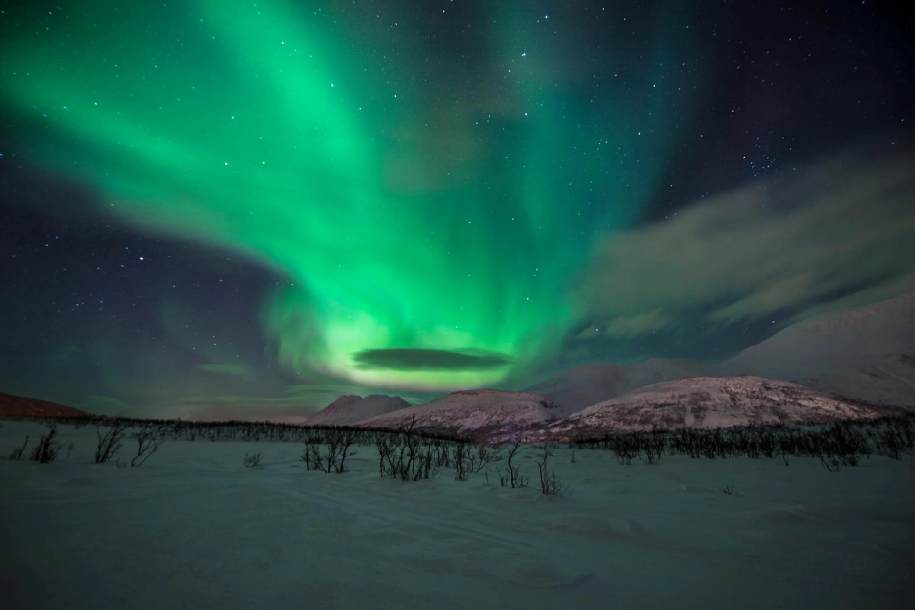 Lyngen Experience Apartments