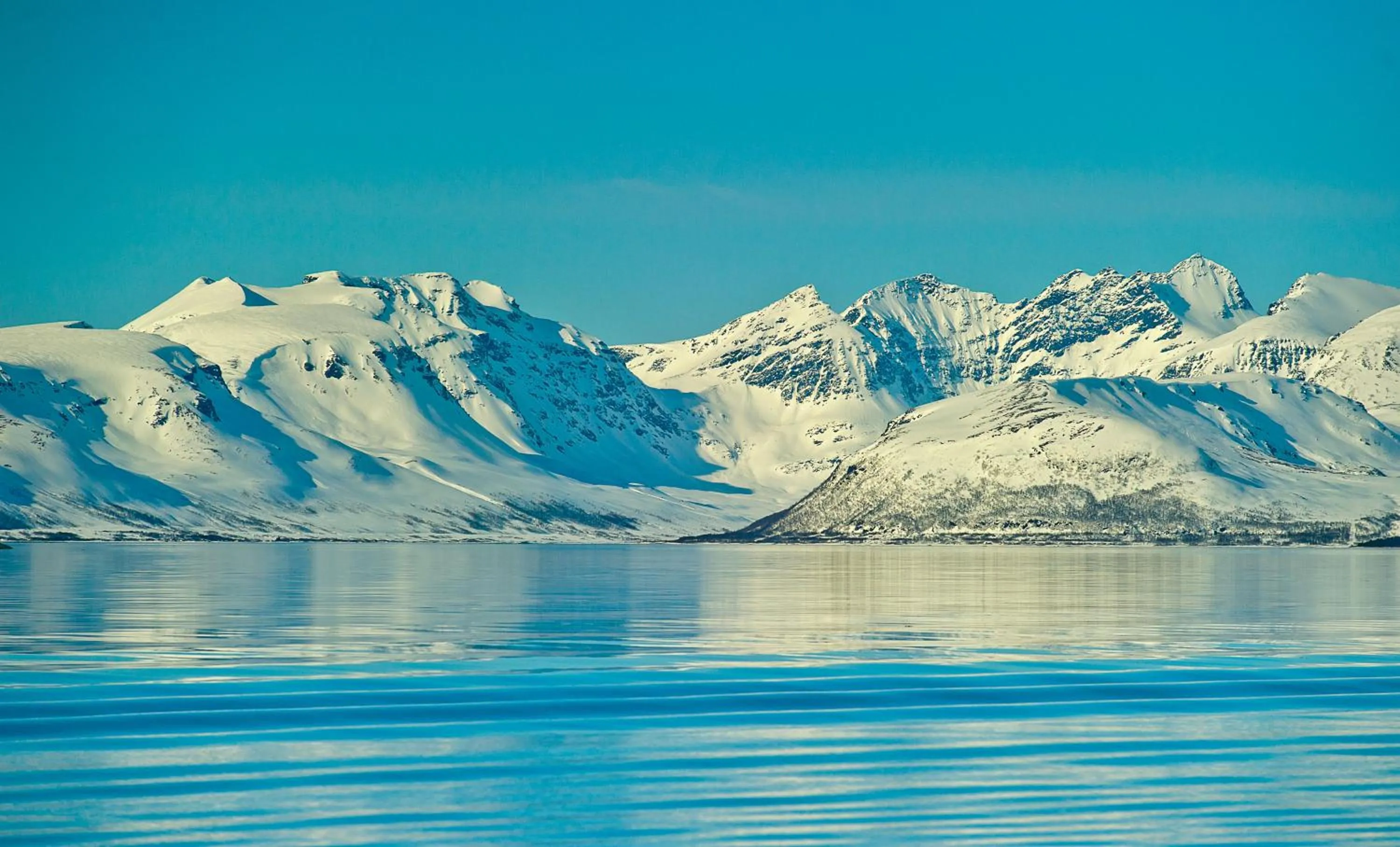 Lyngen Experience Apartments