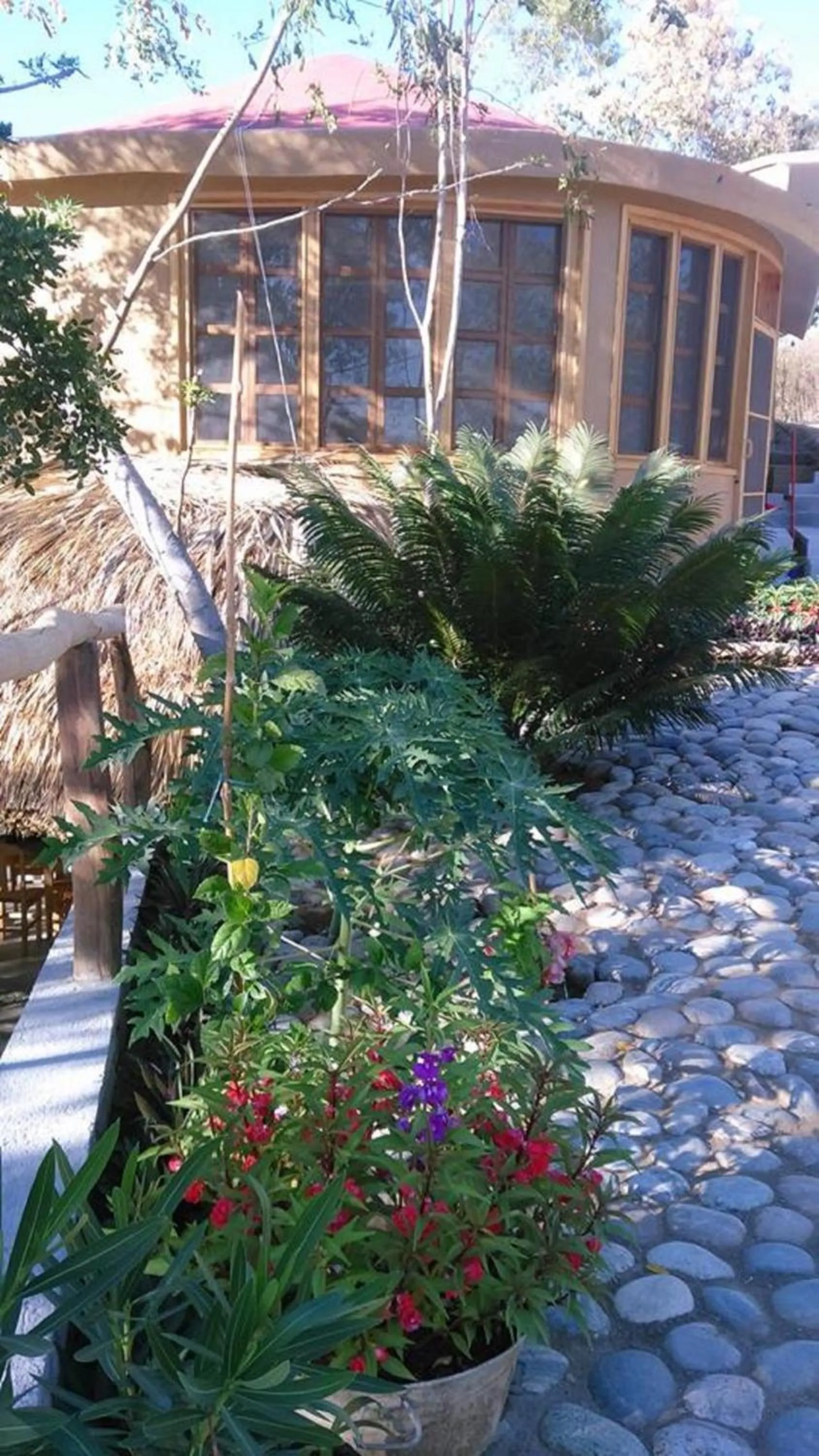 View (from property/room) in El Eden Bungalows