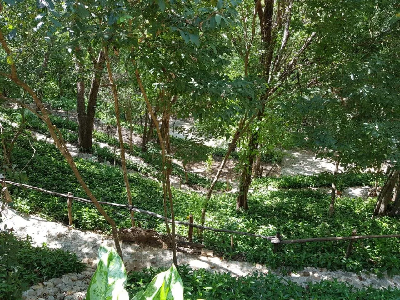 View (from property/room) in El Eden Bungalows