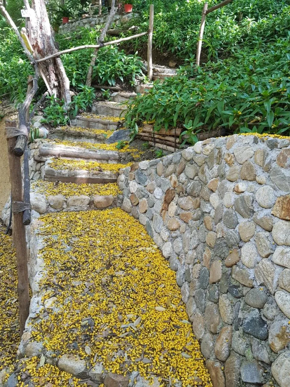 Lobby or reception in El Eden Bungalows