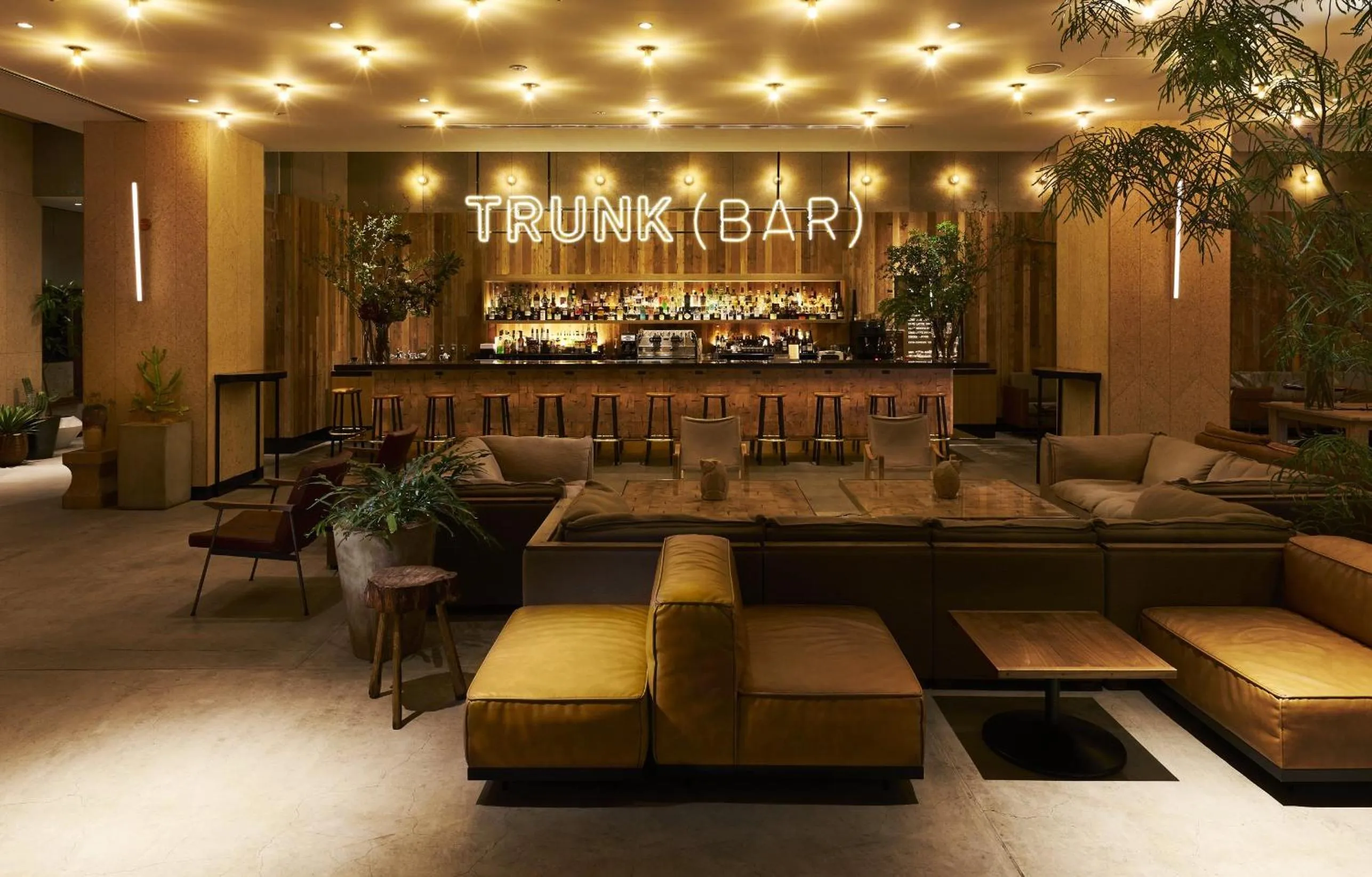 Lounge or bar in TRUNK (HOTEL)