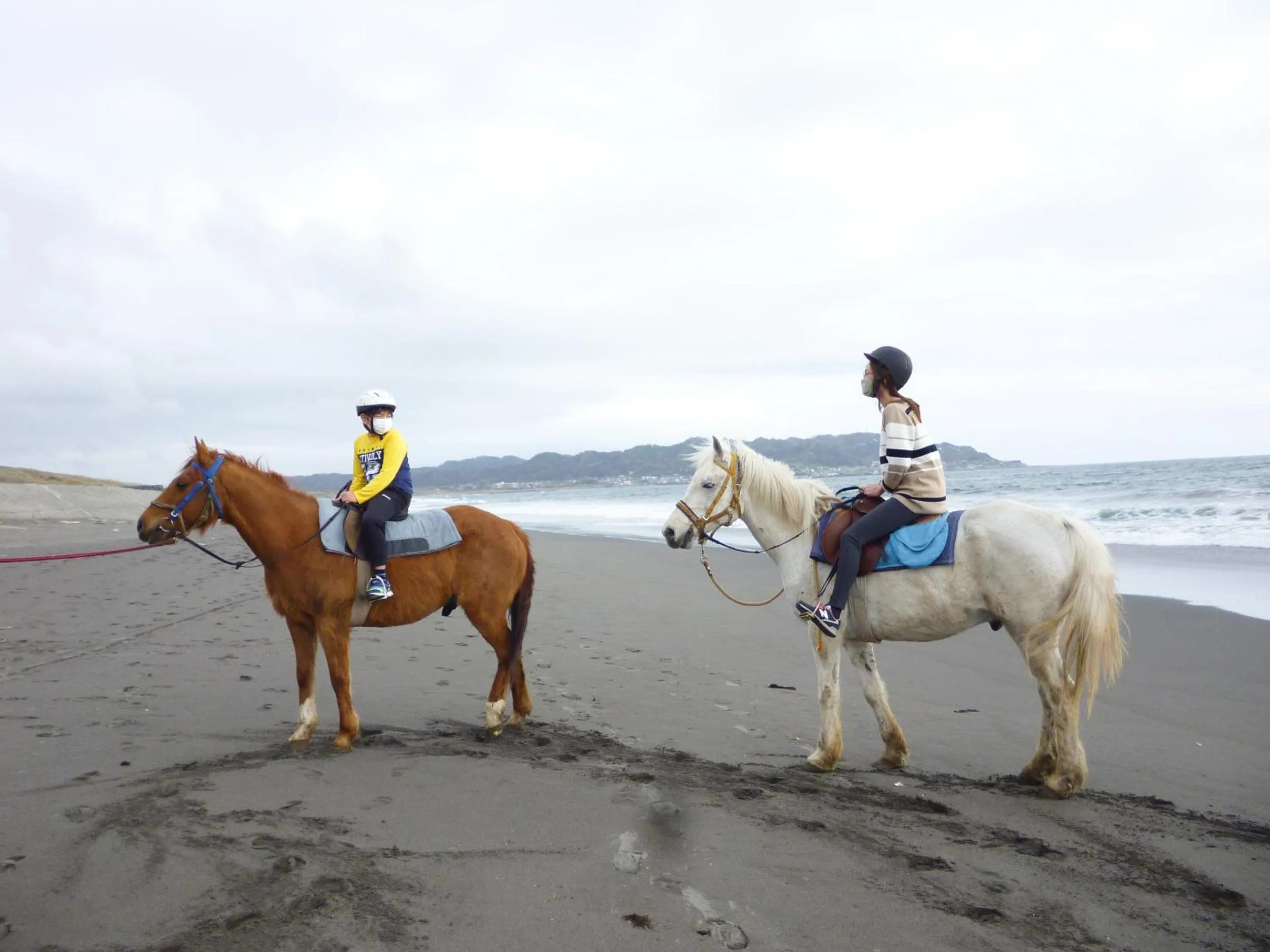 Horse-riding in Pension Flora