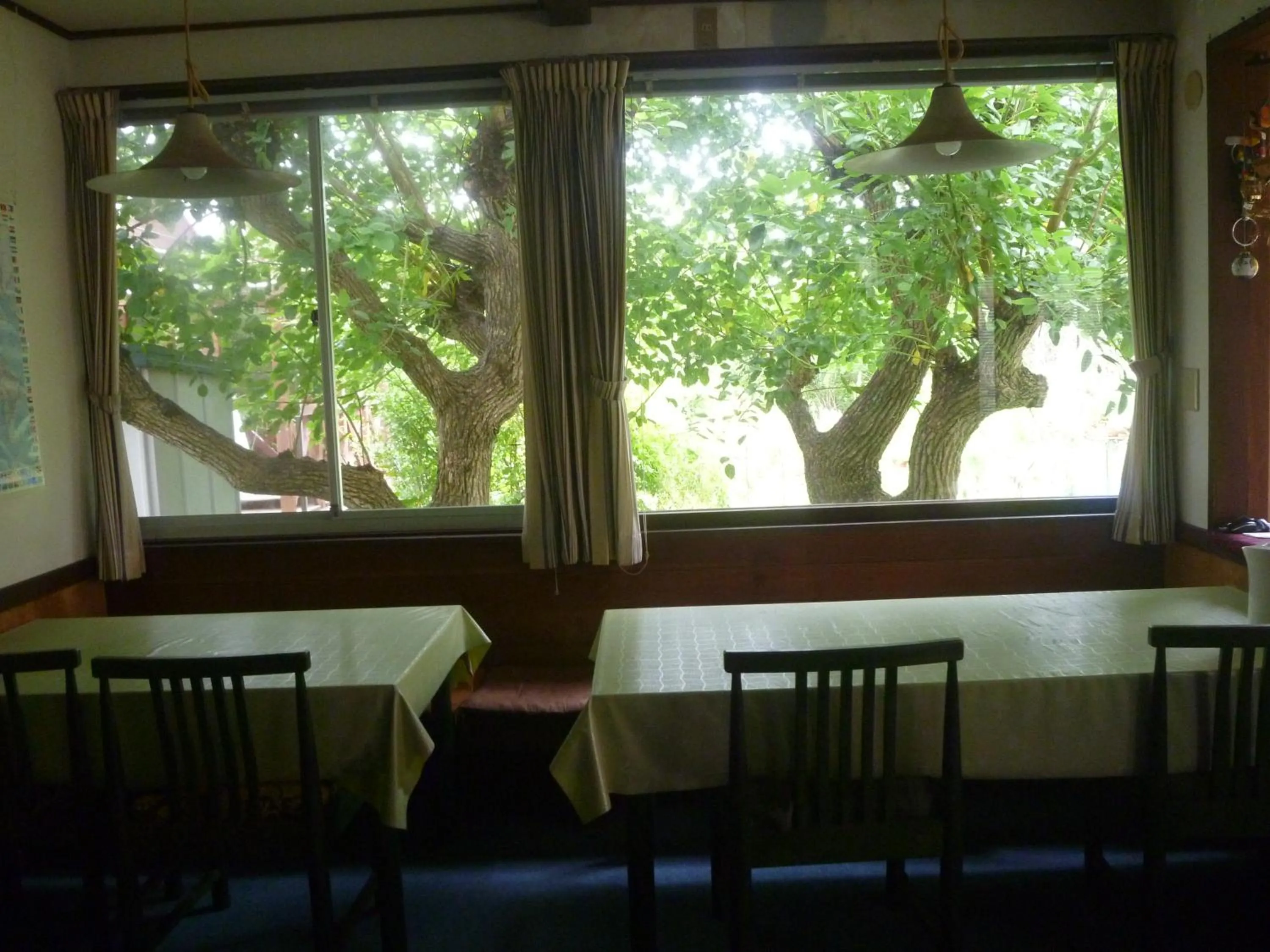 Restaurant/places to eat in Pension Flora