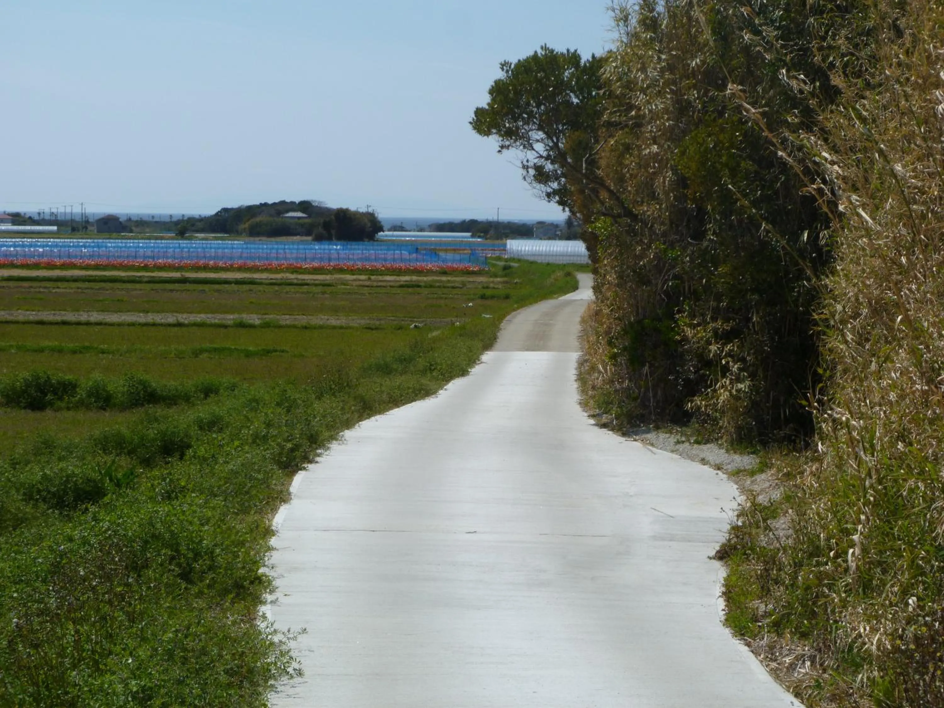 Other in Pension Flora