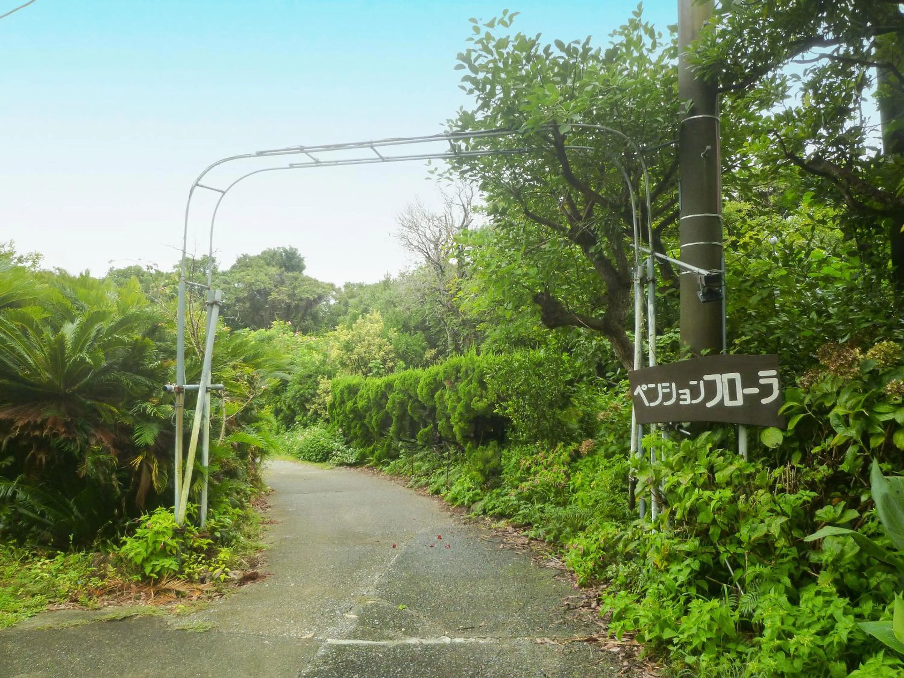 Day in Pension Flora