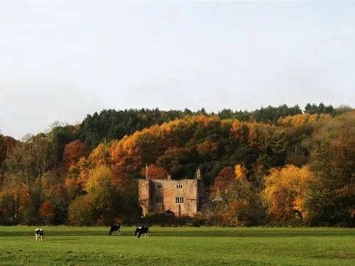 Property building in Bickleigh Castle