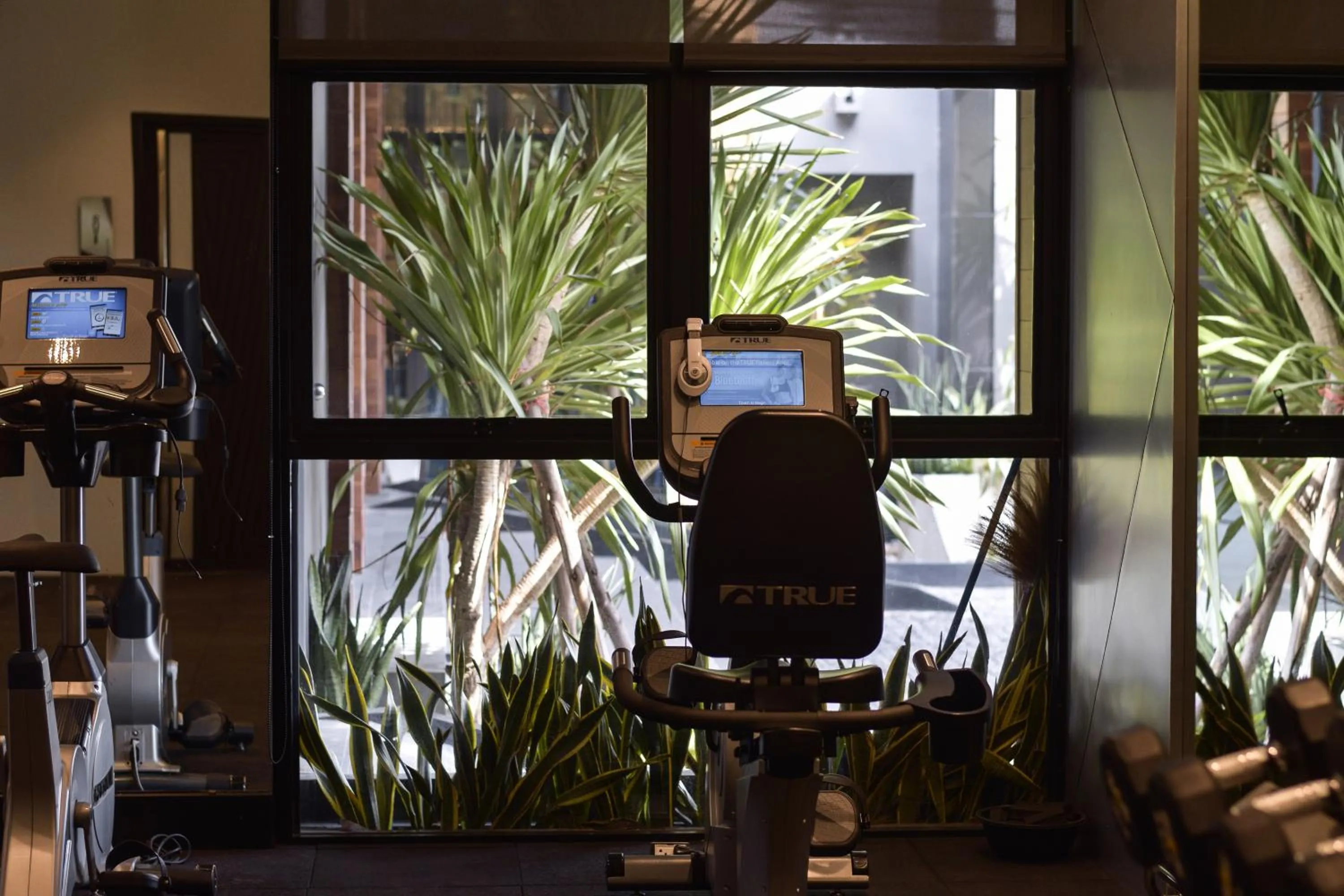 Fitness centre/facilities in Glam Habitat - SHA Extra Plus