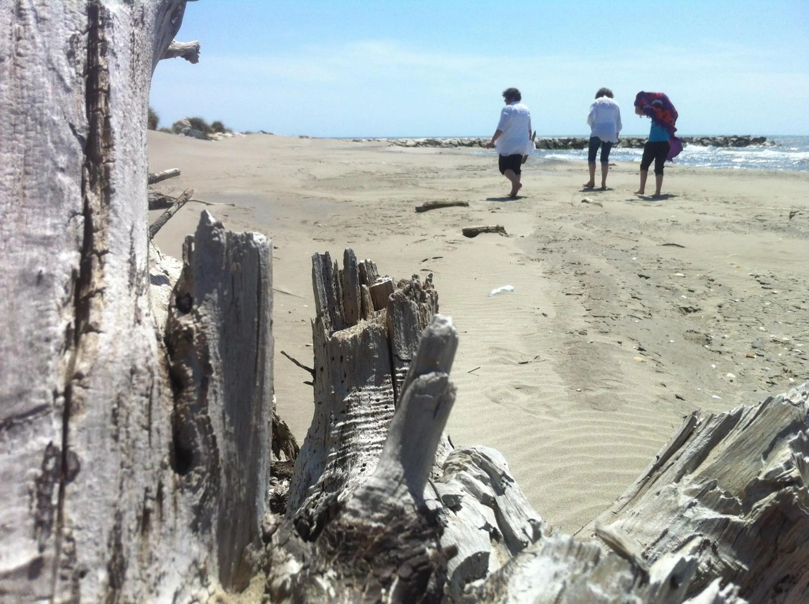 People in Maébrilu Camargue Provence