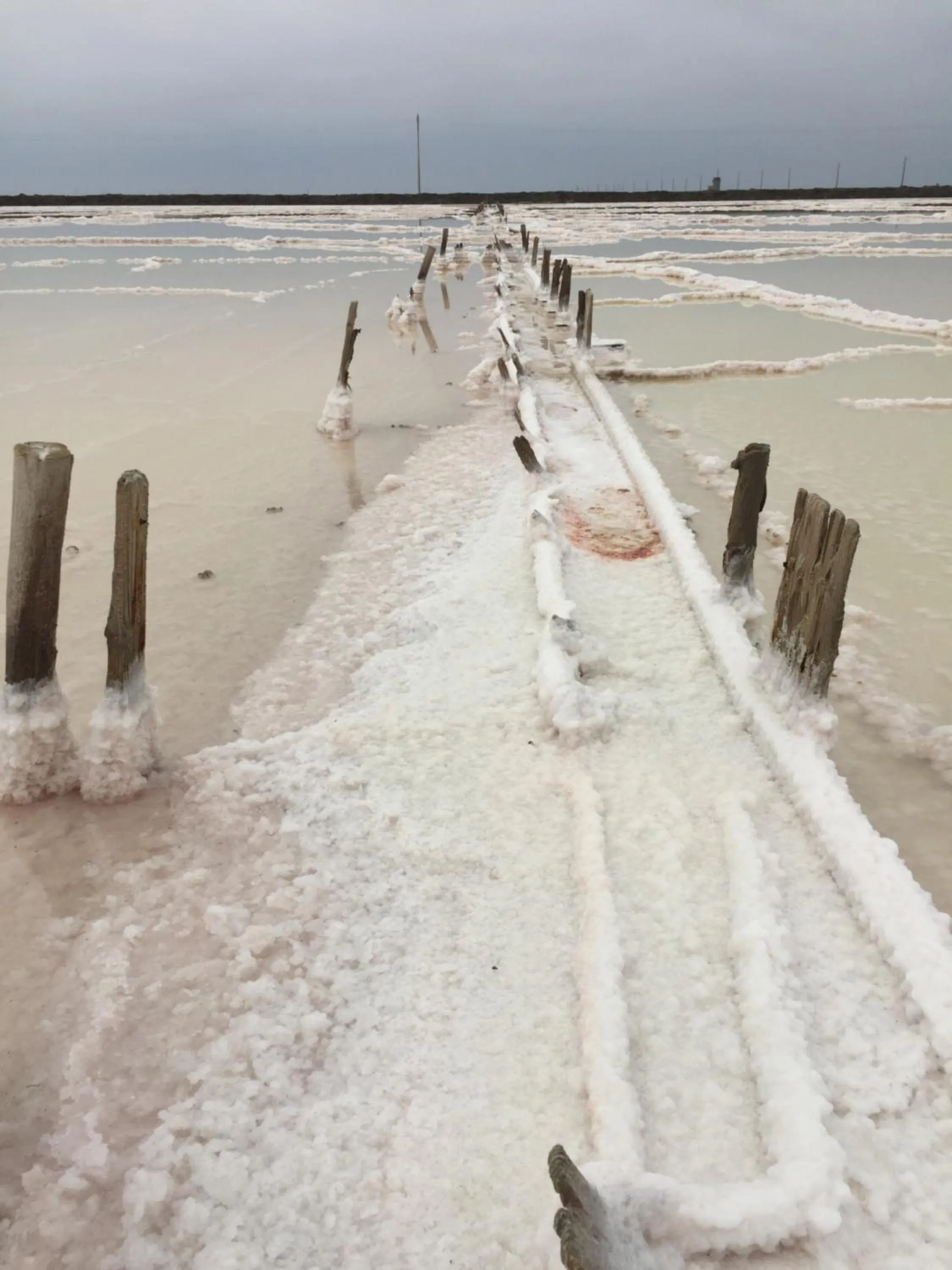 Off site in Maébrilu Camargue Provence