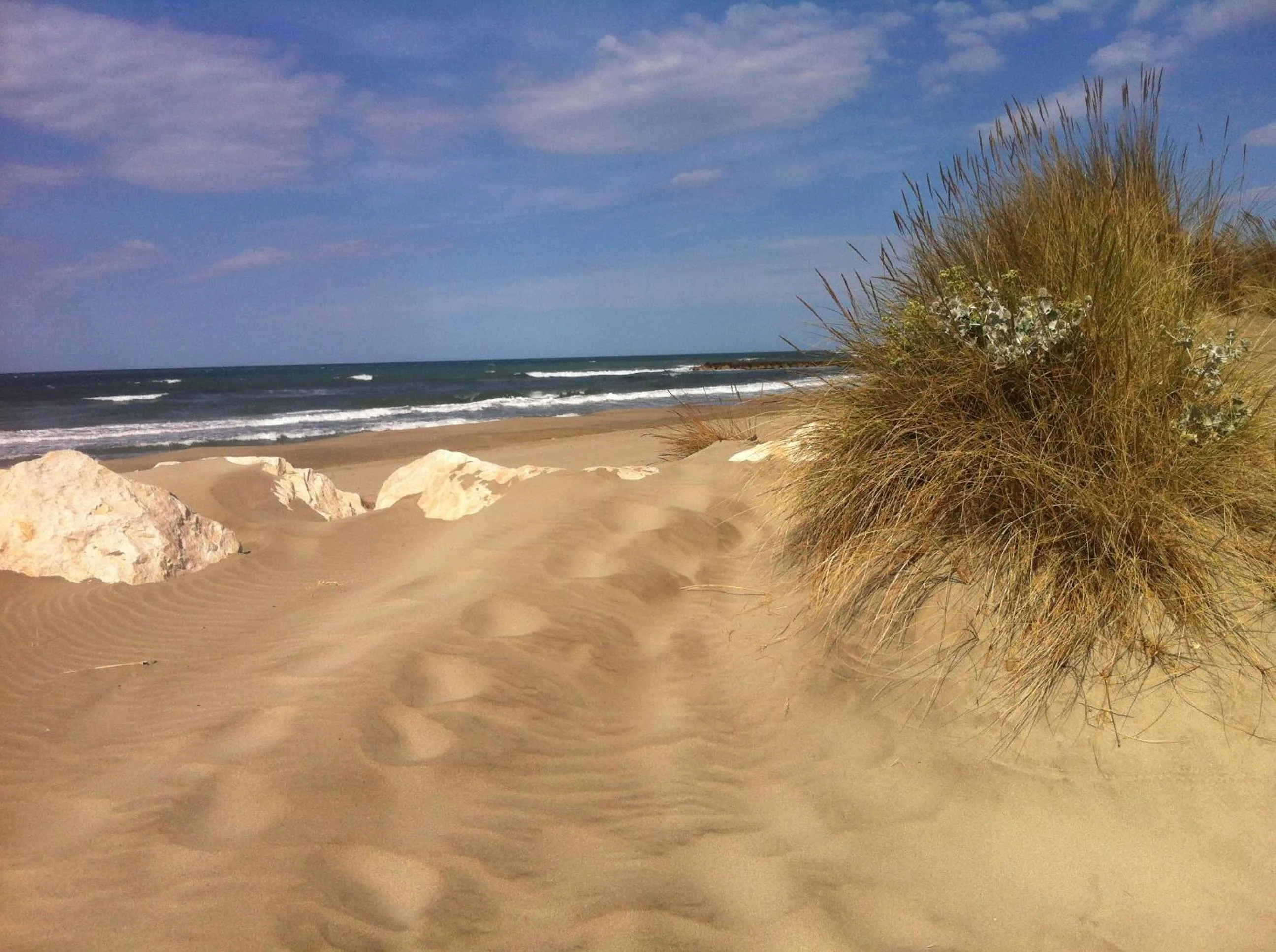 Beach in Maébrilu Camargue Provence