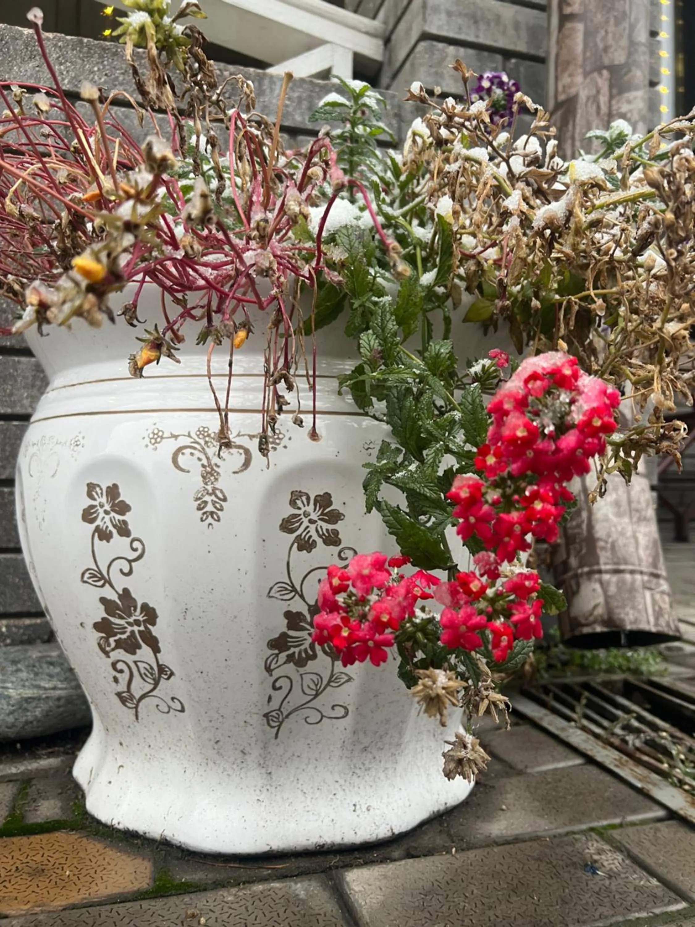 Property building in Salut Hotel