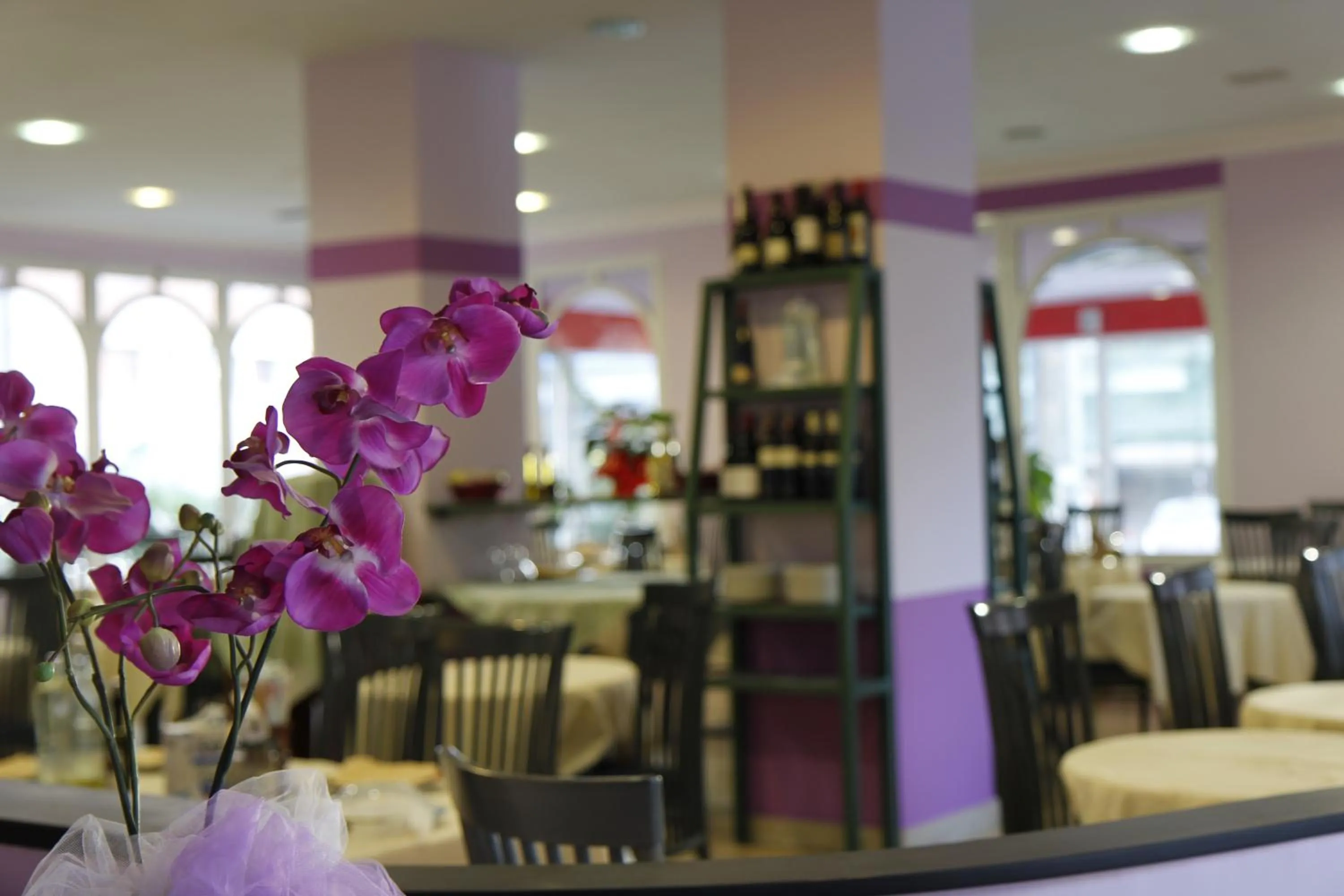 Lounge or bar in Hotel Corallo