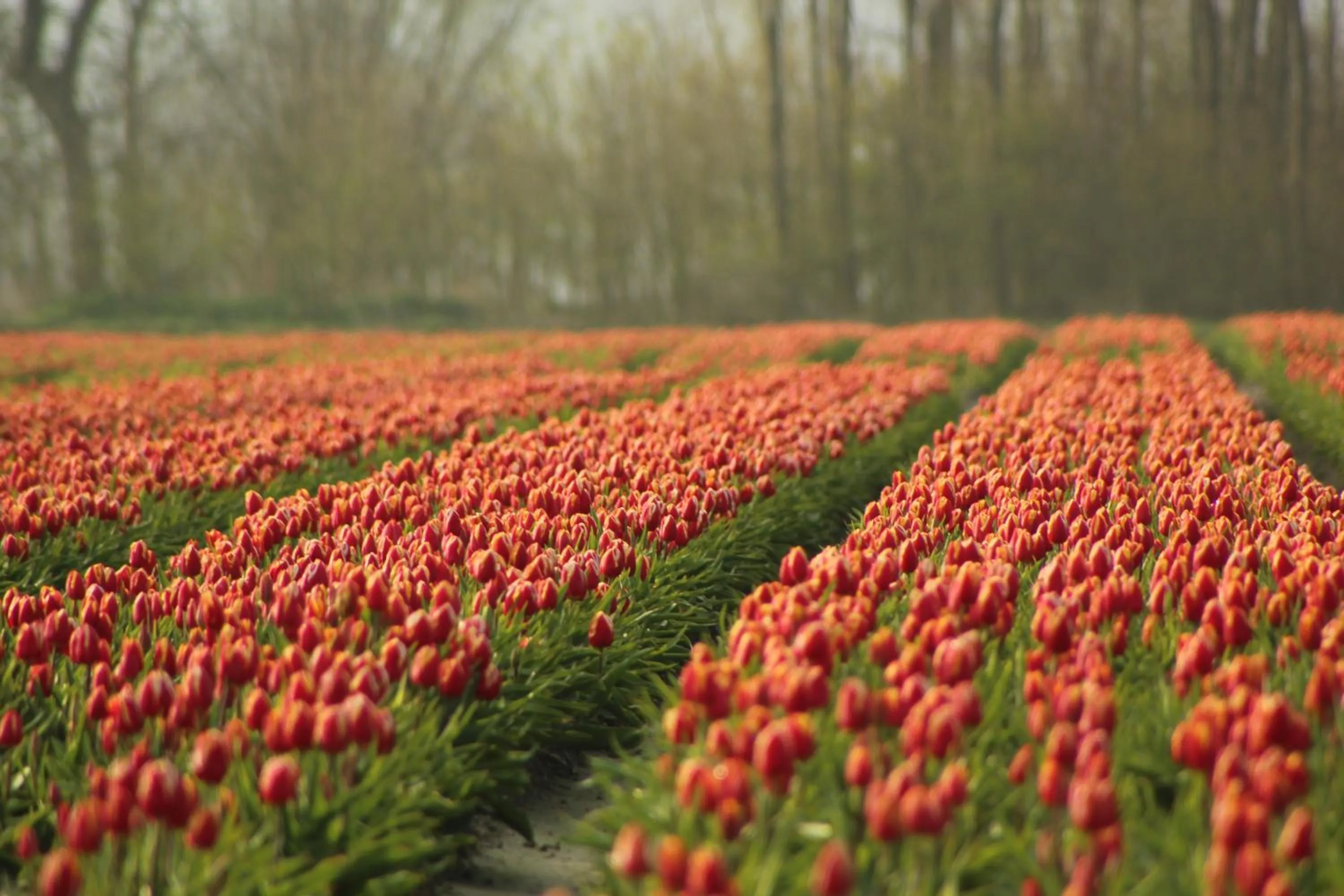 Nearby landmark in B&B - Sauna D'Olle Pastorie