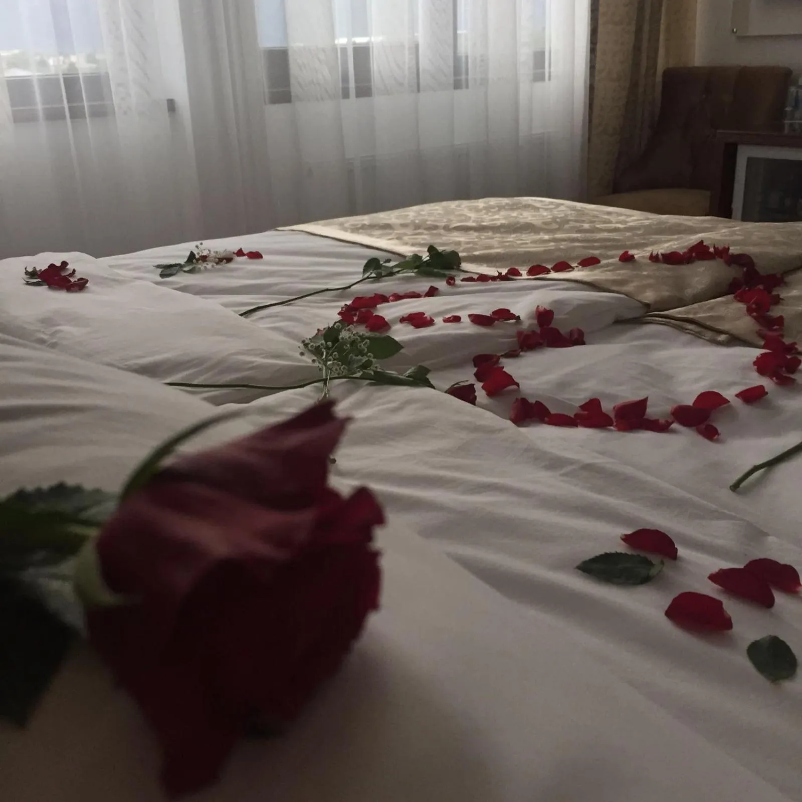 Decorative detail, Bed in New Hotel