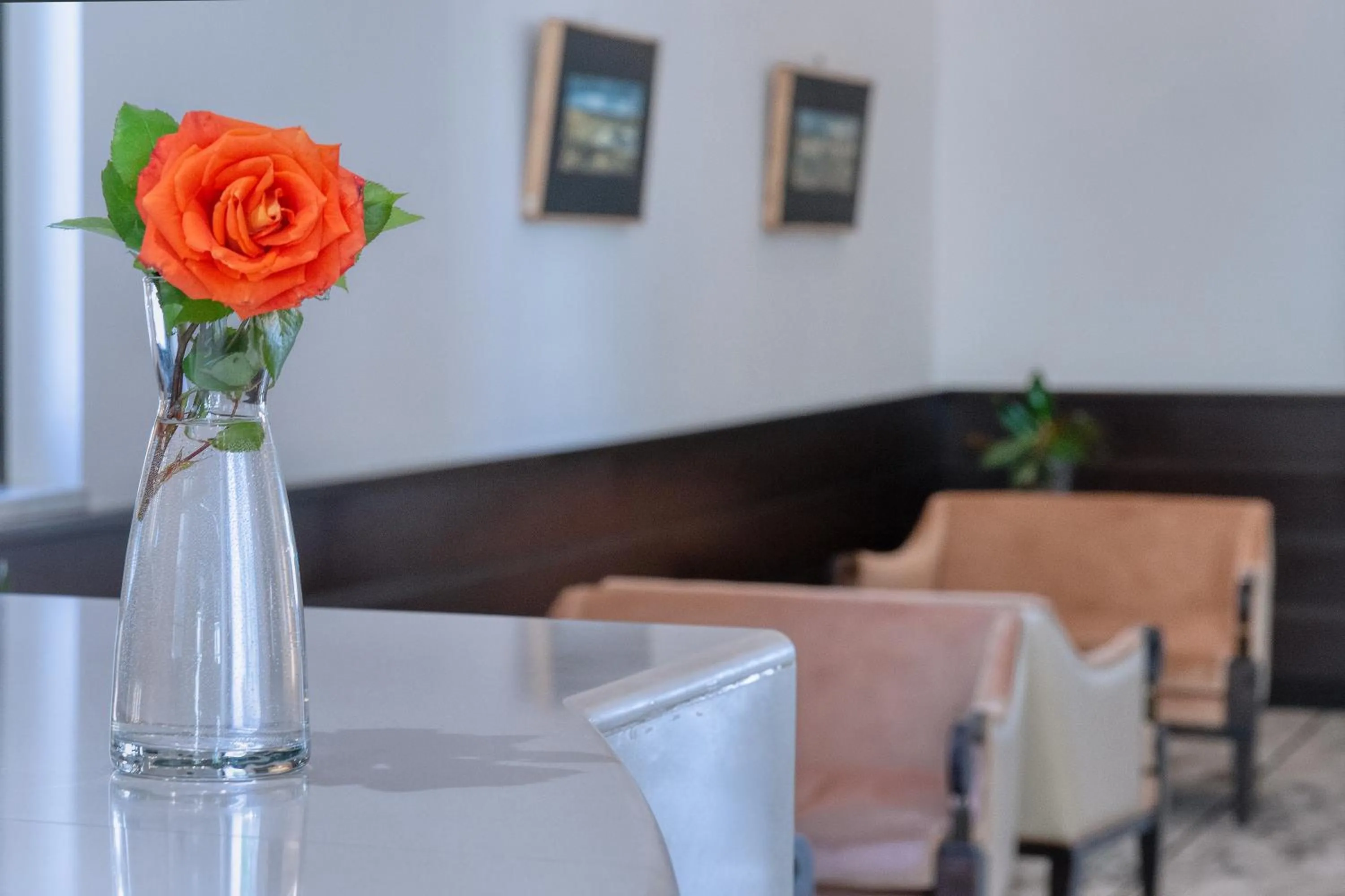 Lounge or bar in B&B HOTEL Mondovì