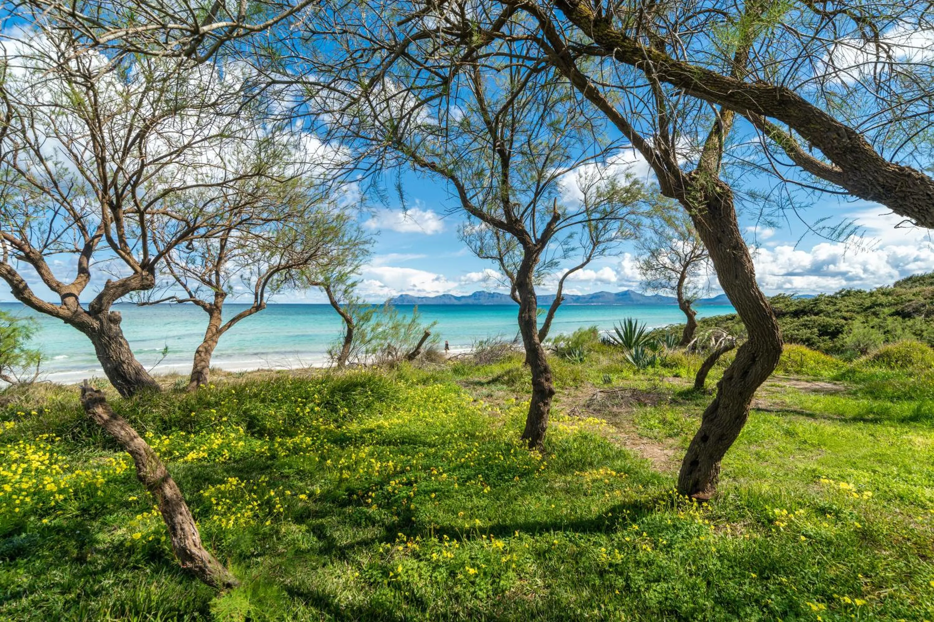 Beach in Villa Can Canta Natura Park House at Platja de Muro Beach