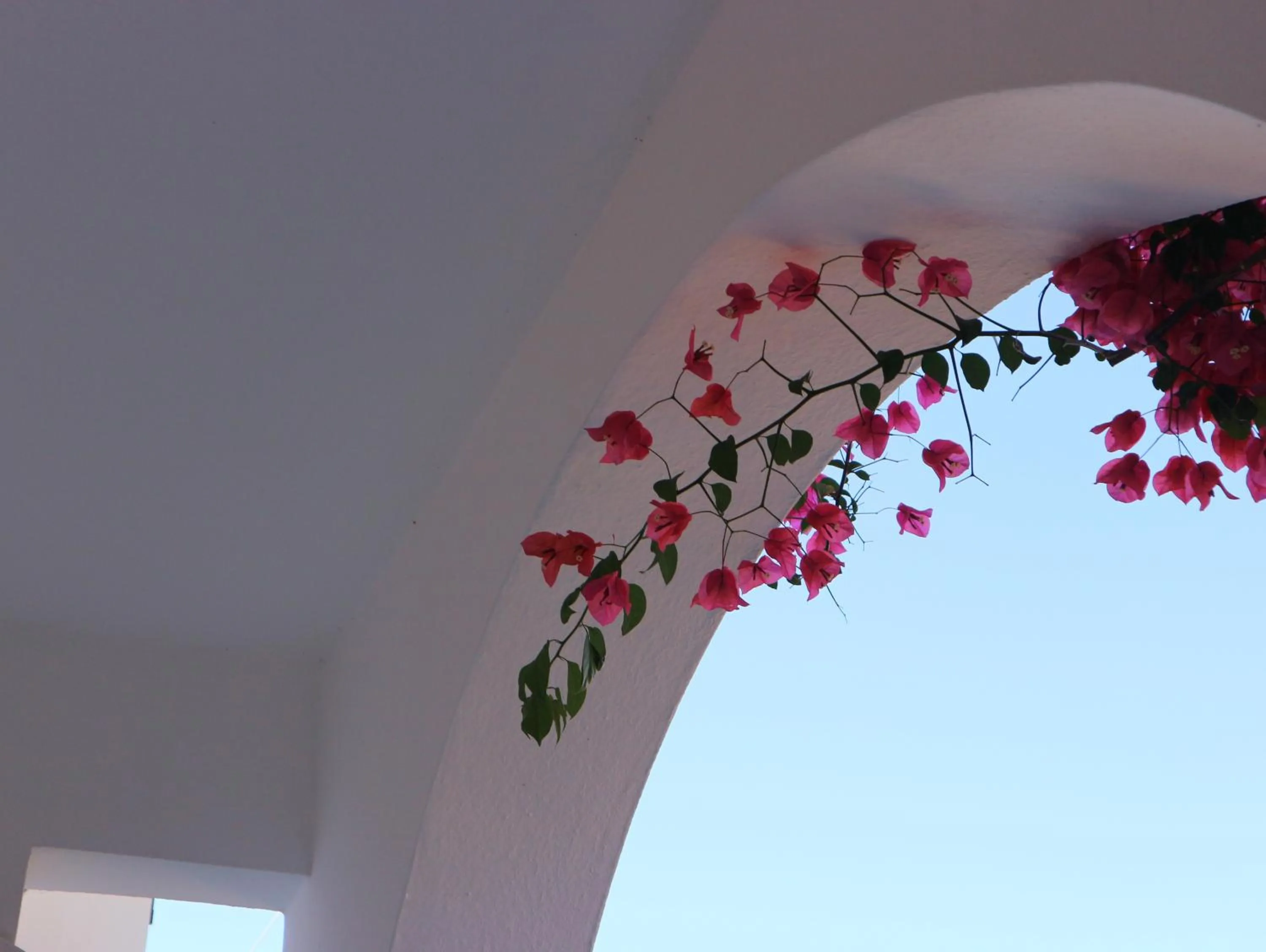 Facade/entrance in Oliaria Apartments