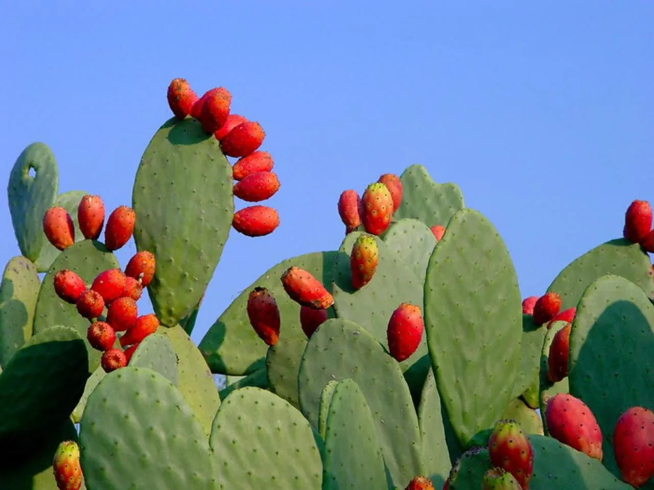 Natural landscape in Hotel Glamping Borgo di Campagna