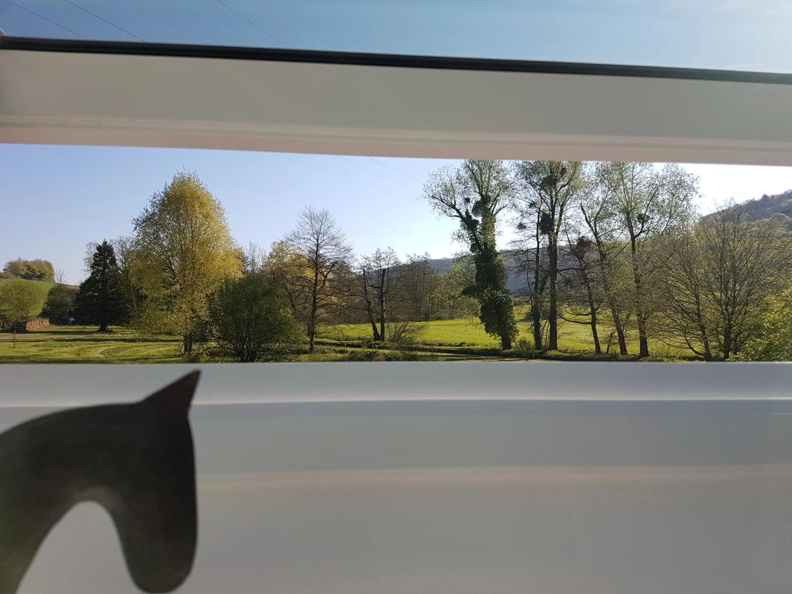 Garden view in Domaine Le Puits du Moulin