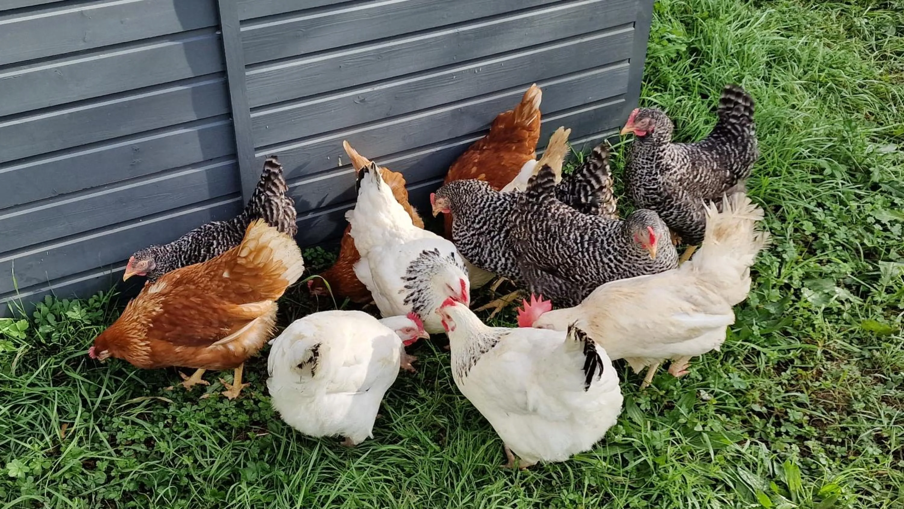 Domaine Le Puits du Moulin