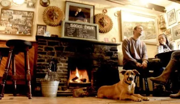 Pets in Cadgwith Cove Inn