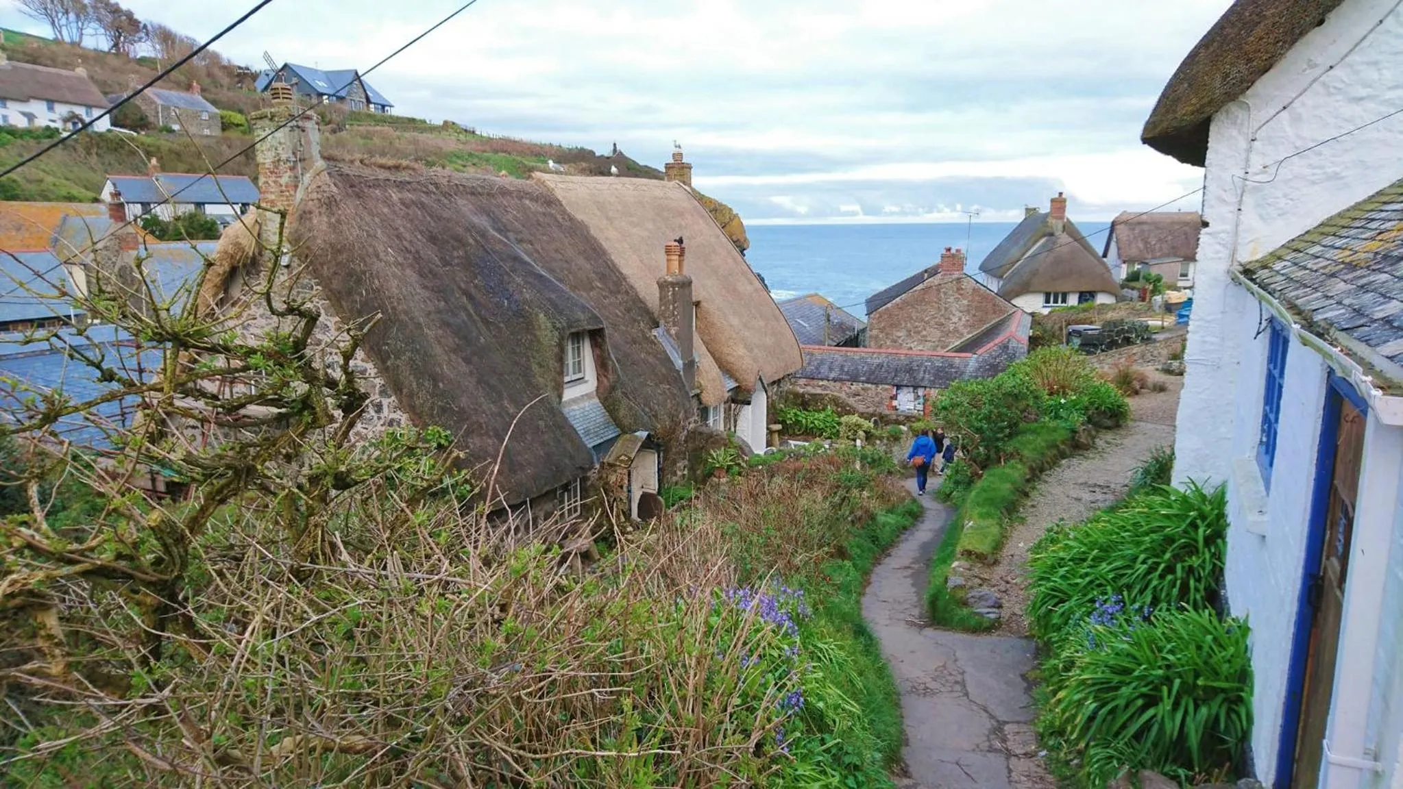 Natural landscape in Cadgwith Cove Inn