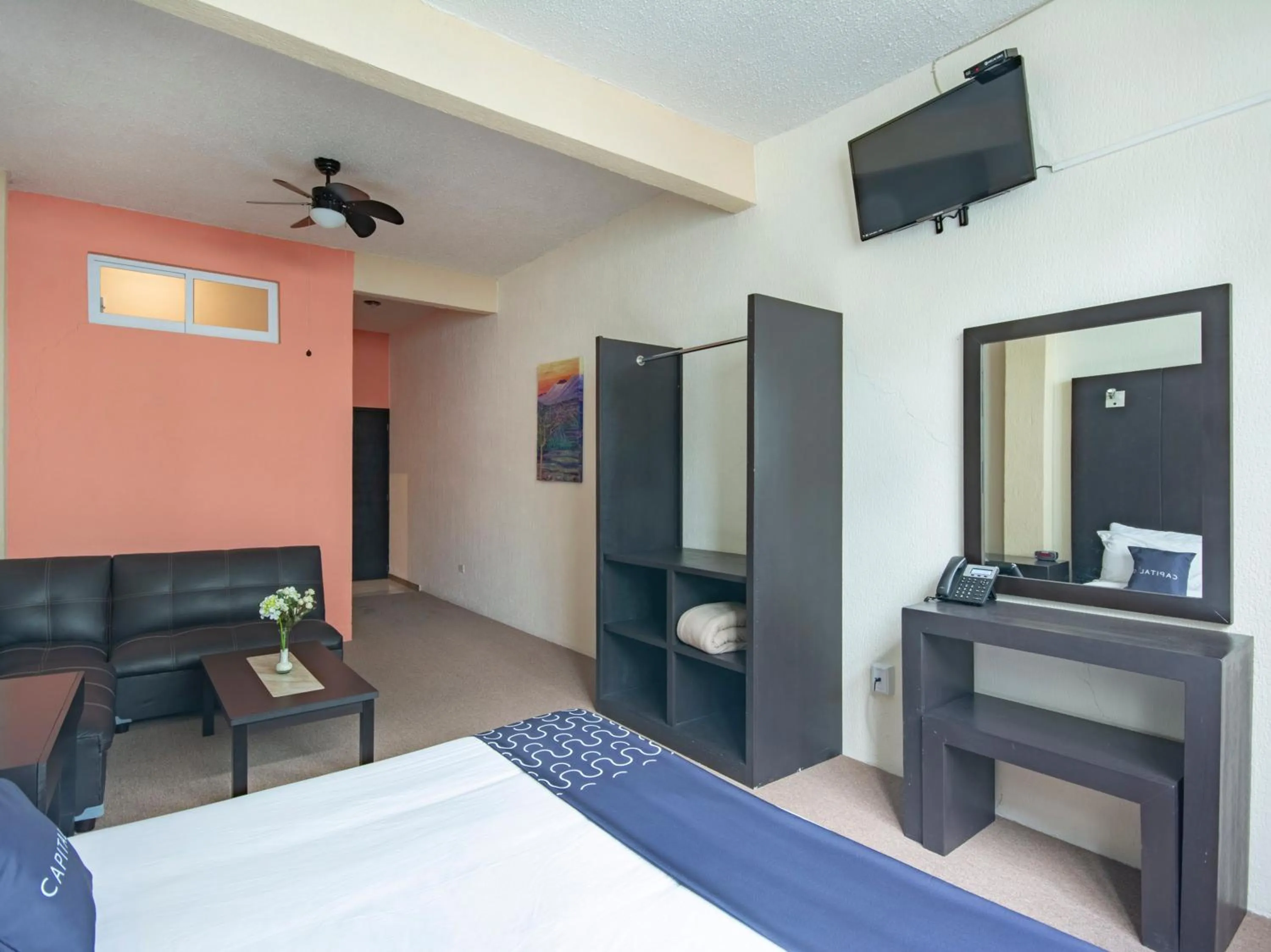 TV and multimedia in Hotel Spa Shalam