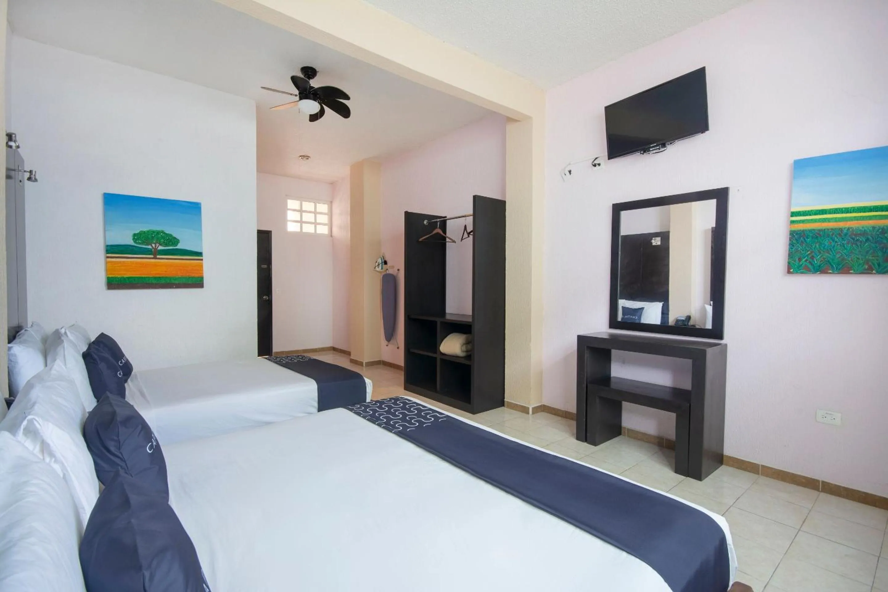 TV and multimedia in Hotel Spa Shalam