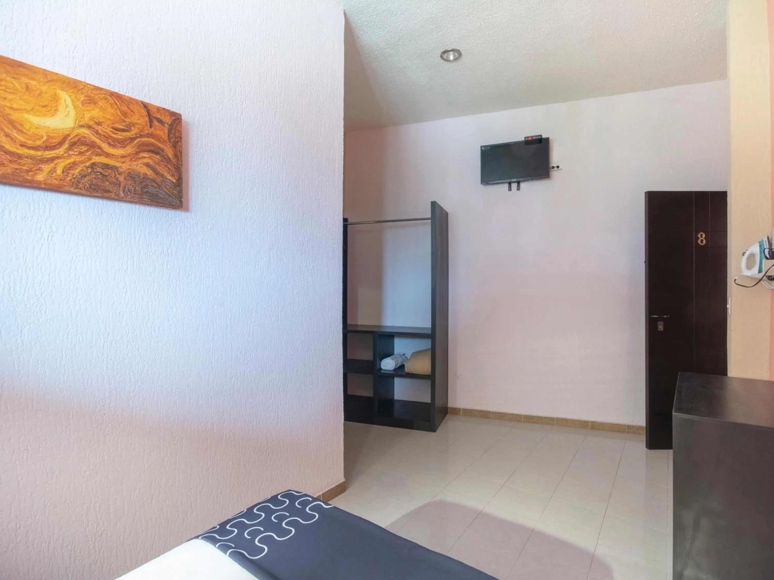 TV and multimedia in Hotel Spa Shalam