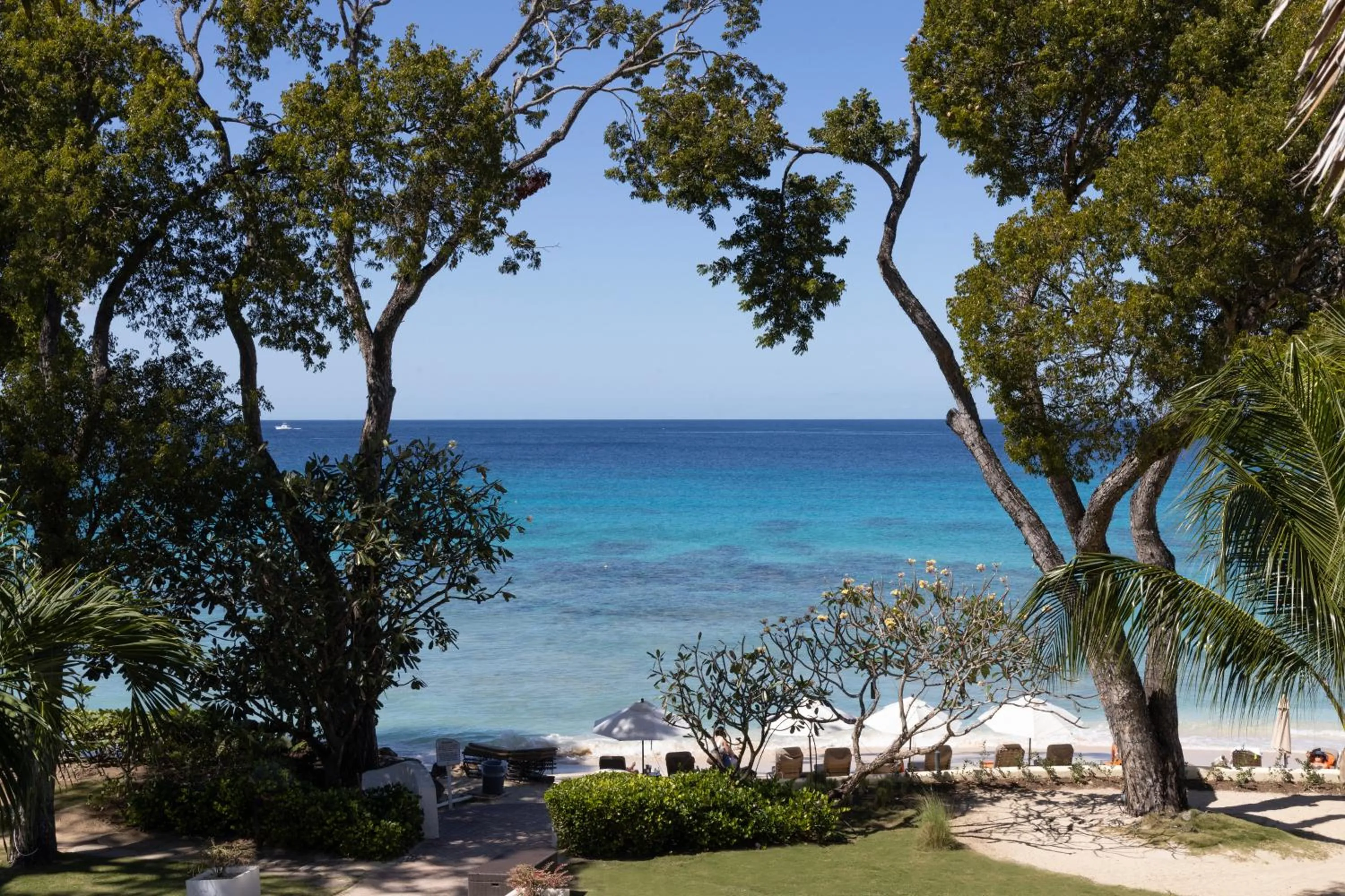 Sea view in Tamarind by Elegant Hotels - All-Inclusive