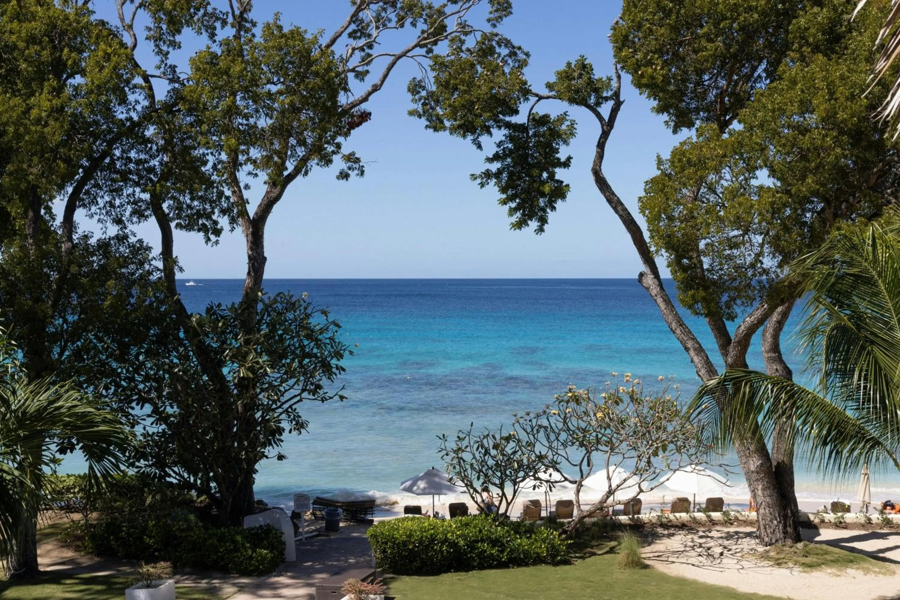 Photo of the whole room in Tamarind by Elegant Hotels - All-Inclusive