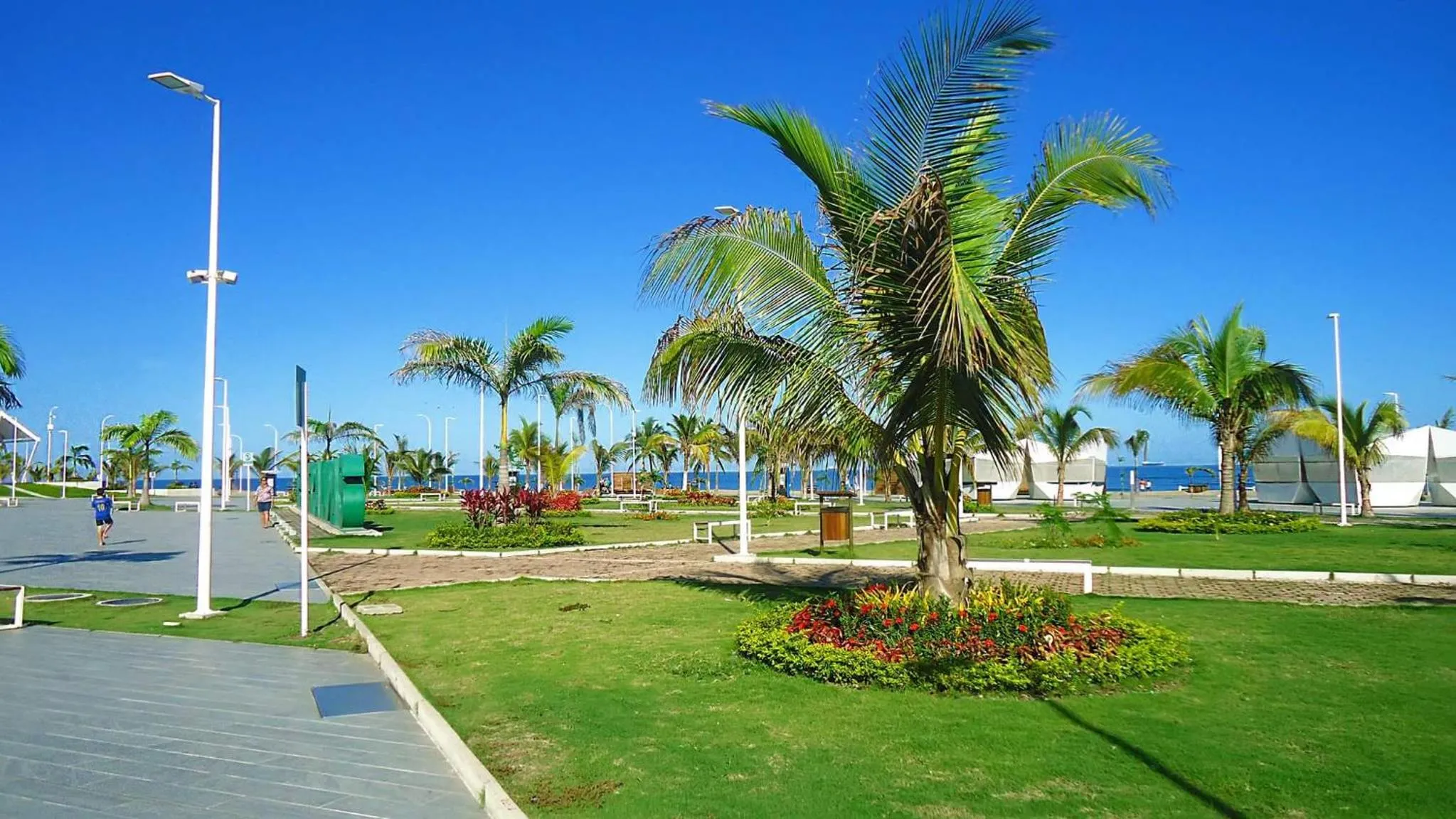 Garden in Hotel Las Palmas