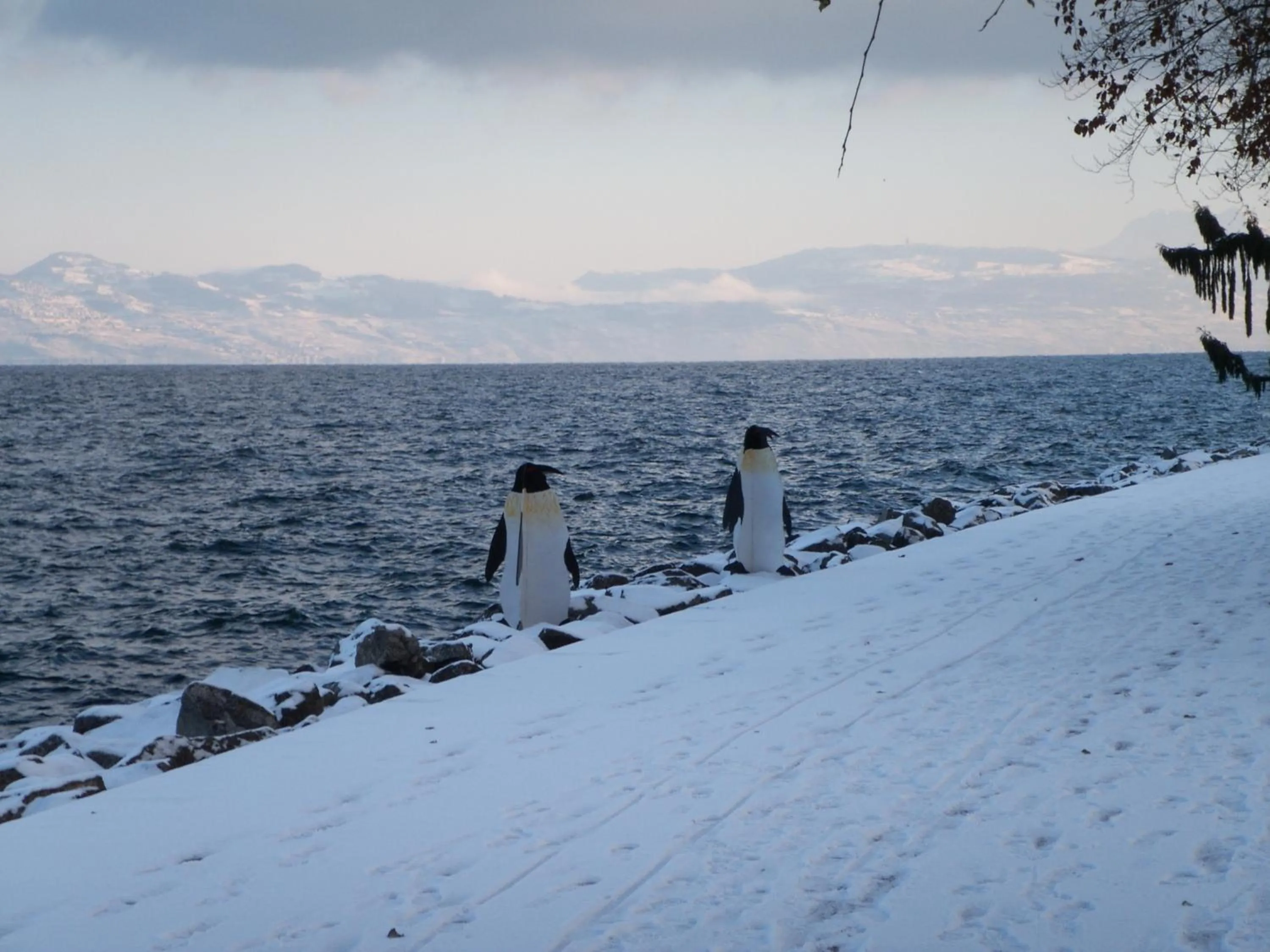 Area and facilities in Hotel Le Littoral