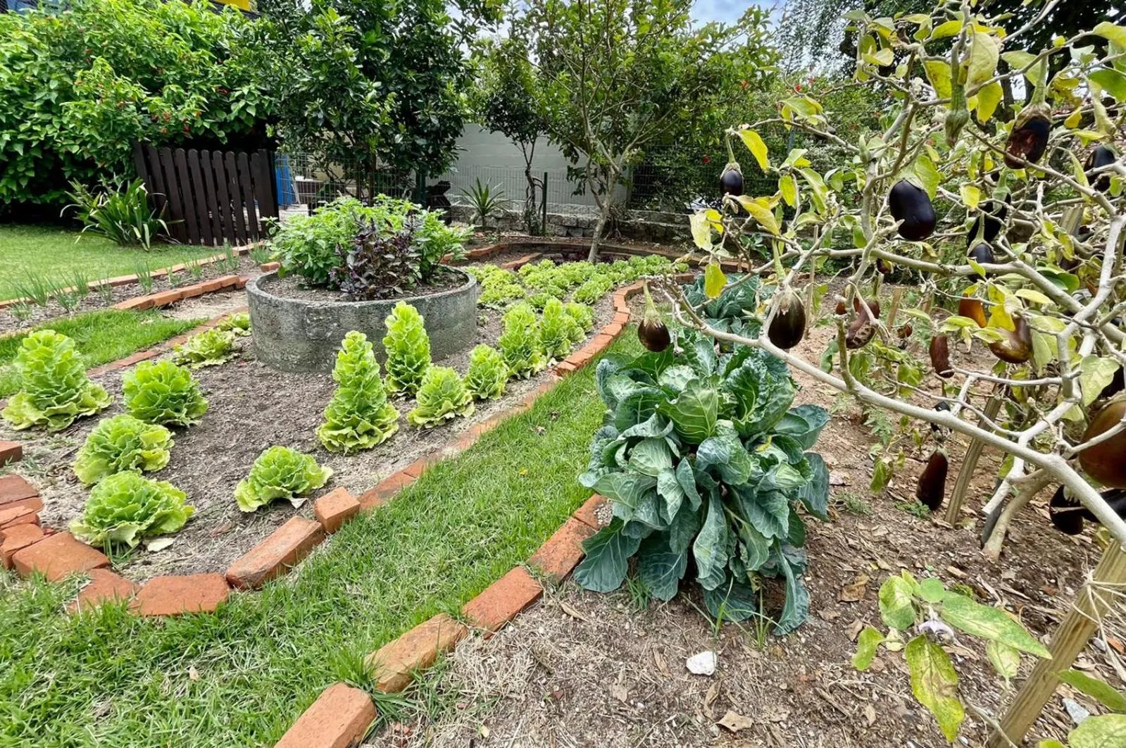 Food close-up in Penareia Floripa Beach Hotel