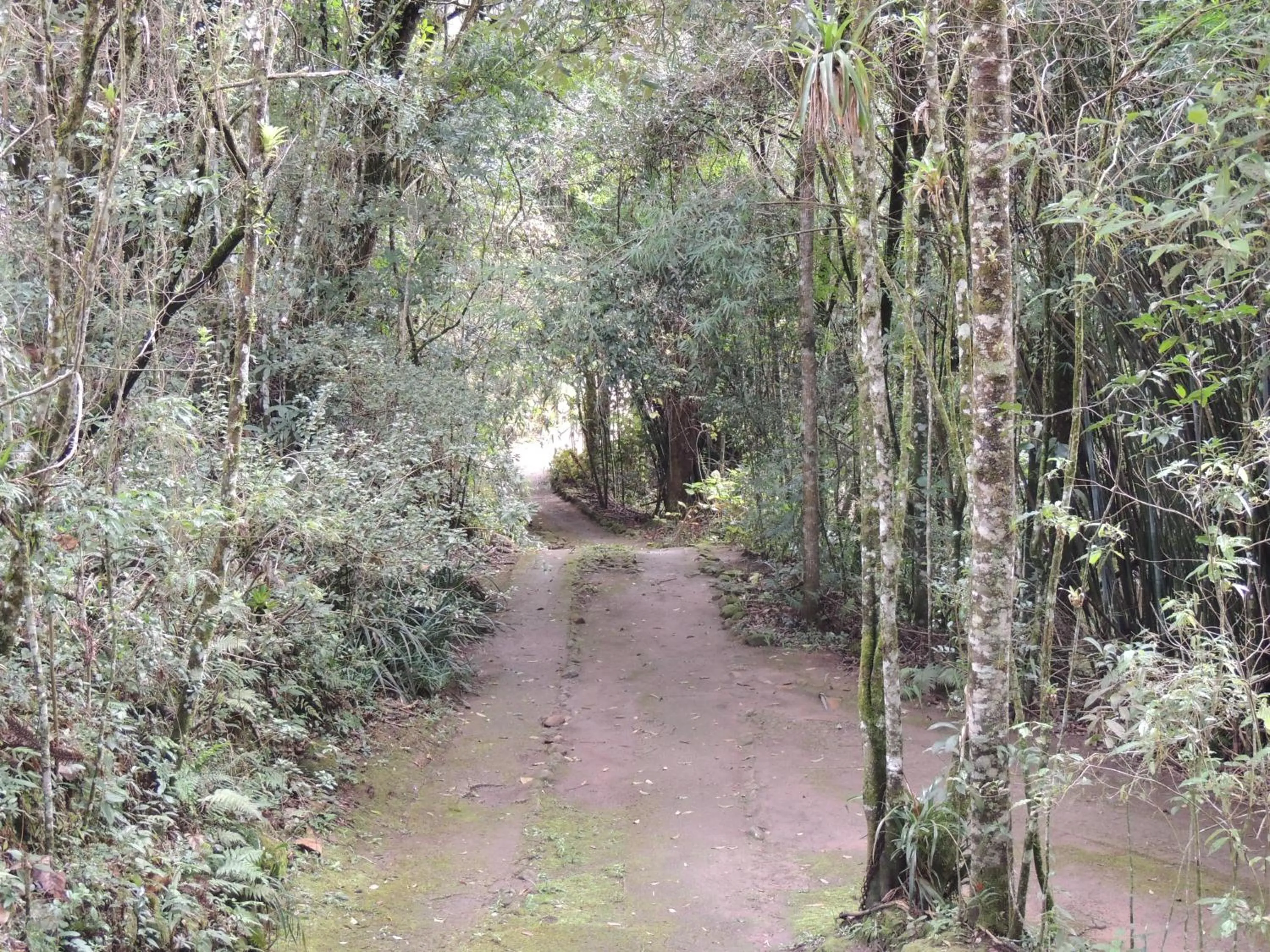Natural landscape in Tô na Roça
