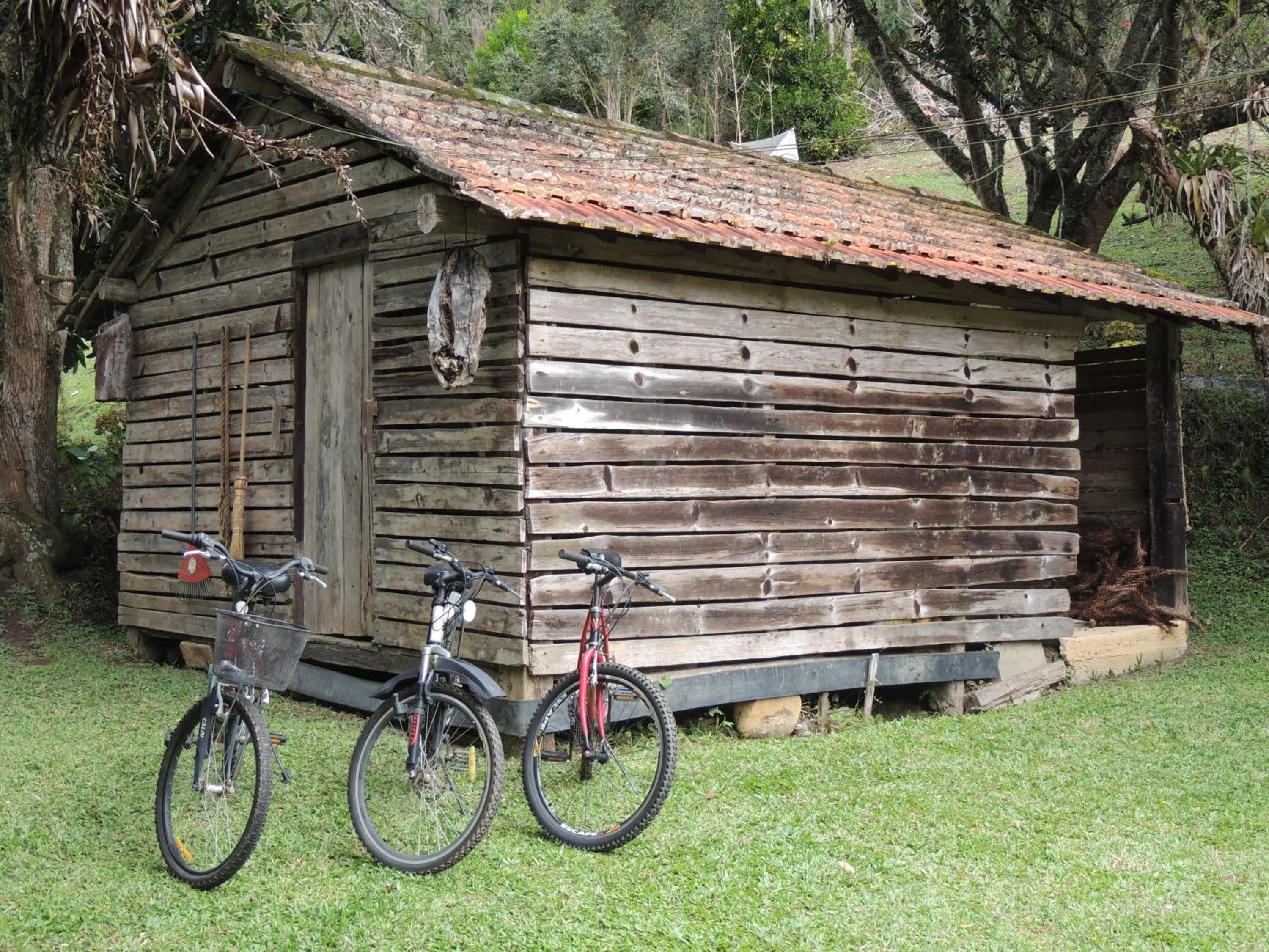 Entertainment in Tô na Roça