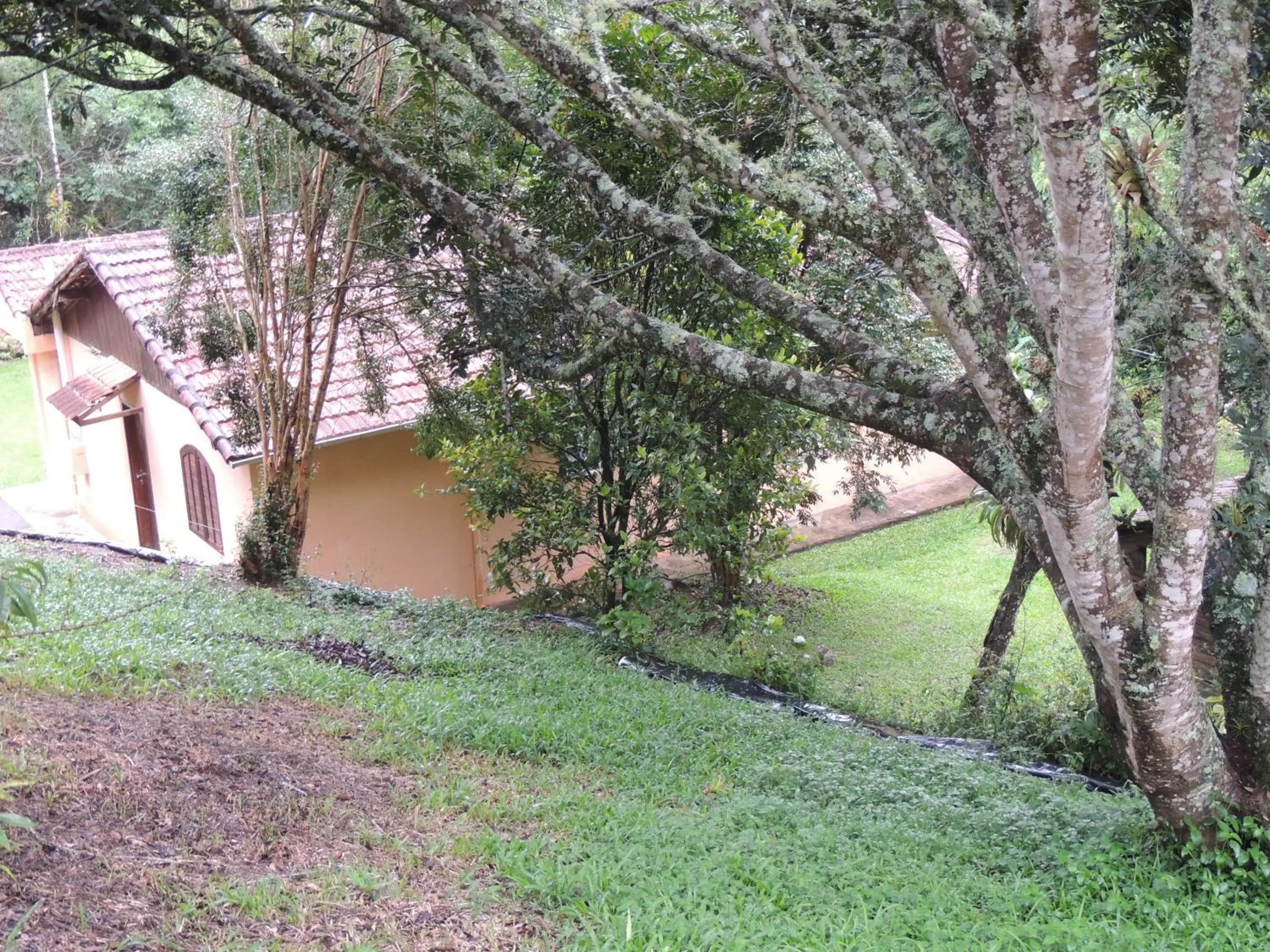 Property building in Tô na Roça